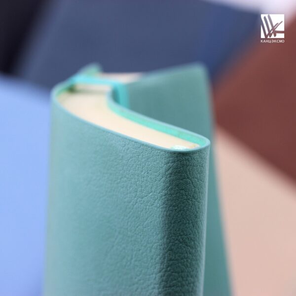 Ежедневники «Reference»