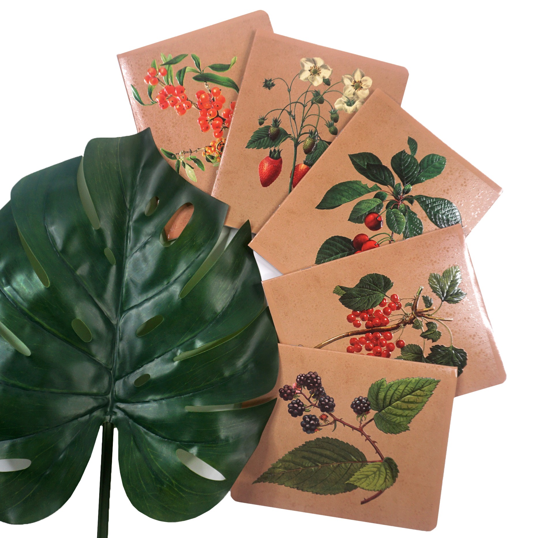 Тетрадь Listoff «Любимые ягоды» Тетрадь Listoff «Любимые ягоды»