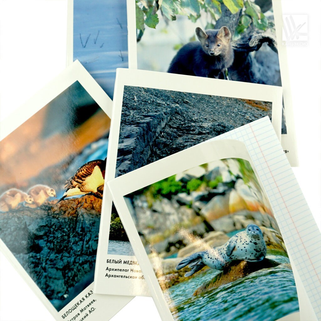 Тетради Listoff Заповедная Россия