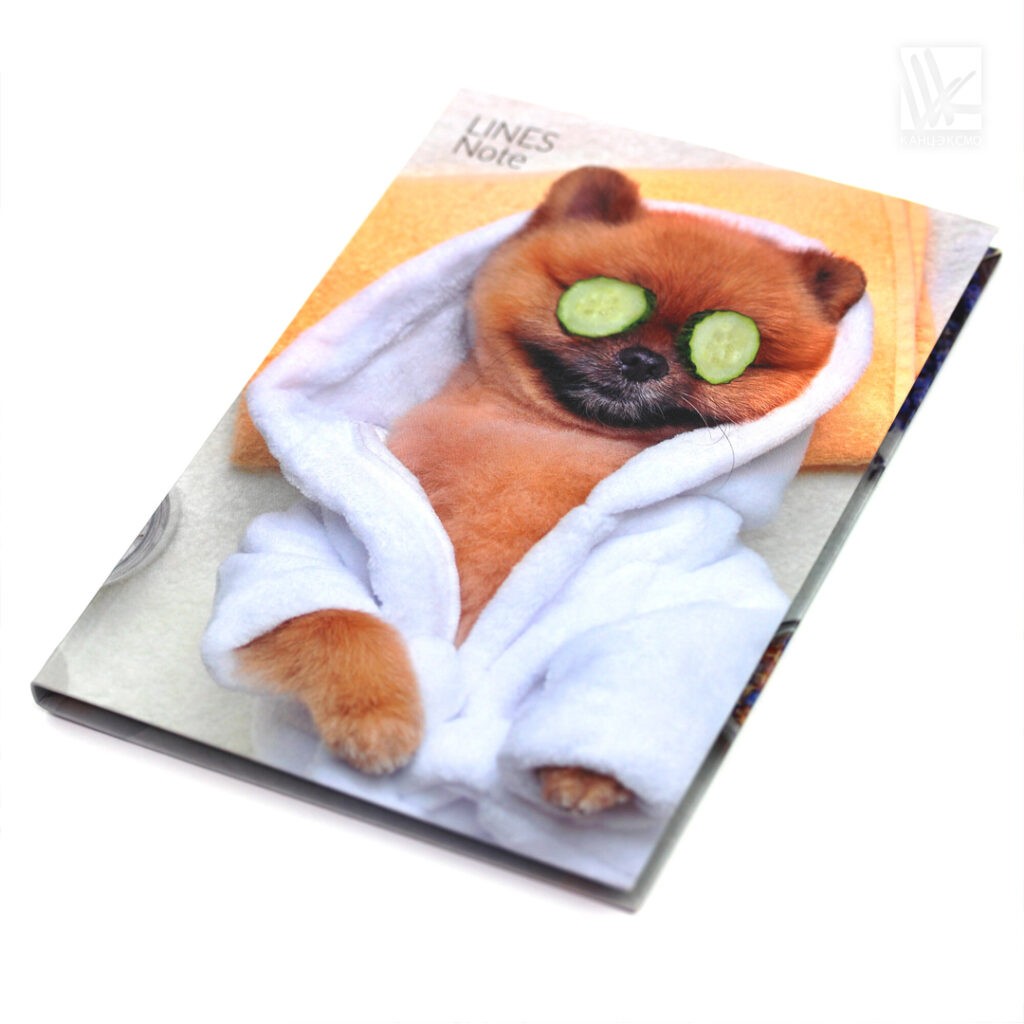 Евротетради от Listoff