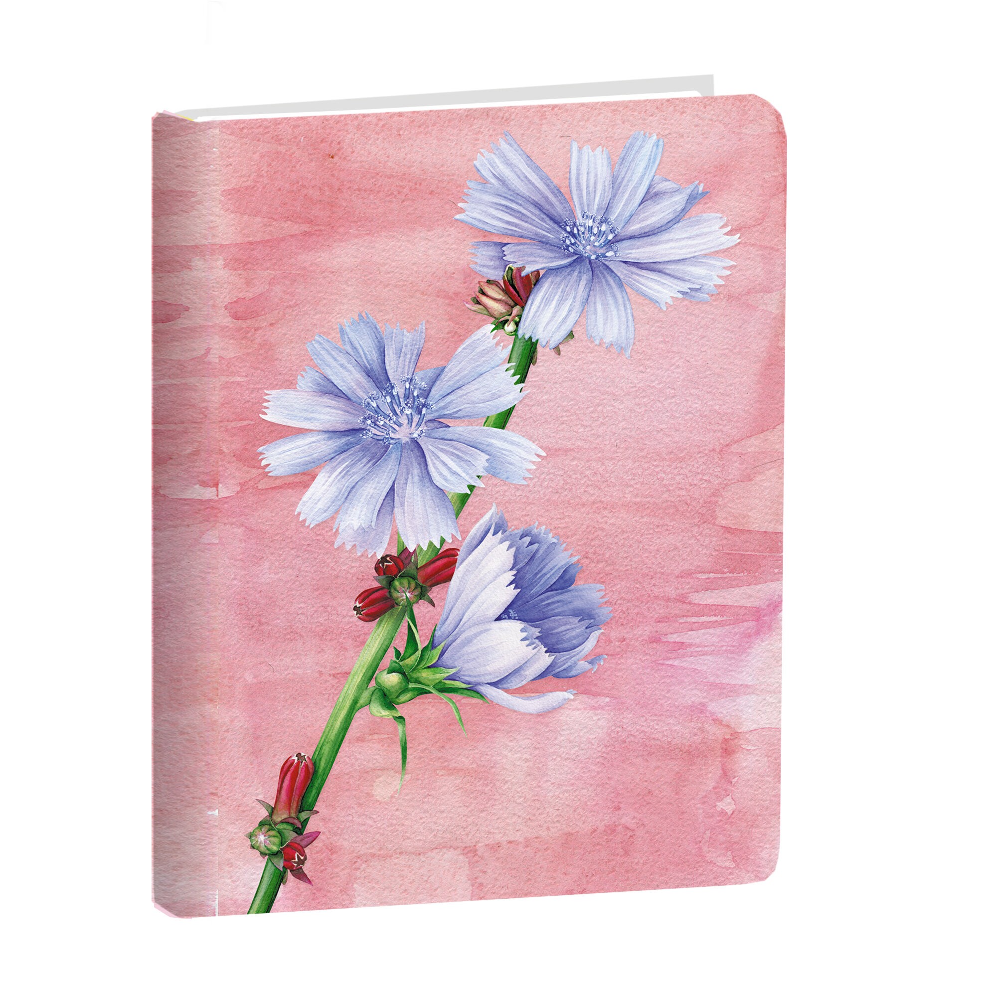 Aquarelle. Полевые цветы – КЗАК6802928 Aquarelle. Полевые цветы – КЗАК6802928