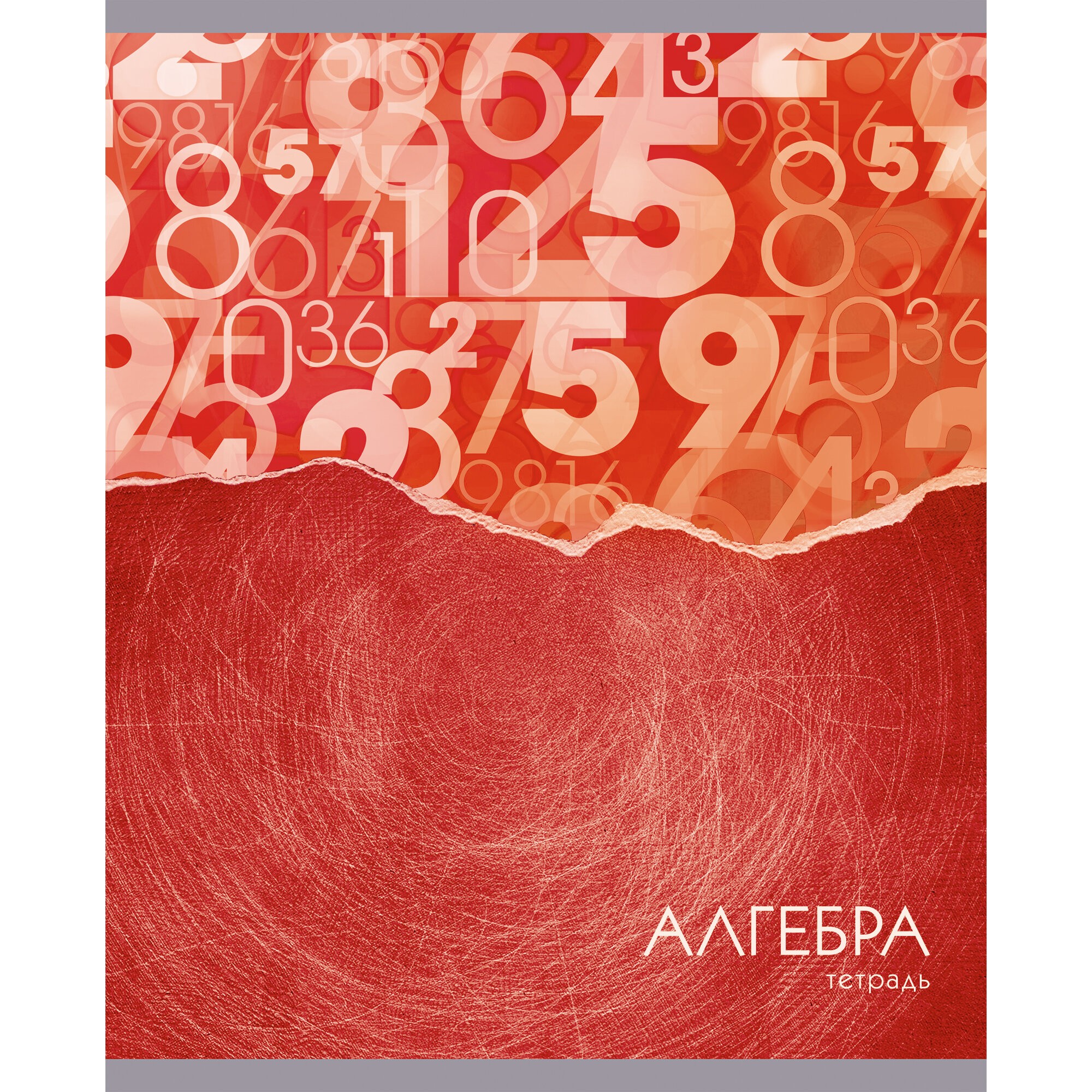 Steel light. Алгебра – ТТГ2Л486938 Steel light. Алгебра – ТТГ2Л486938