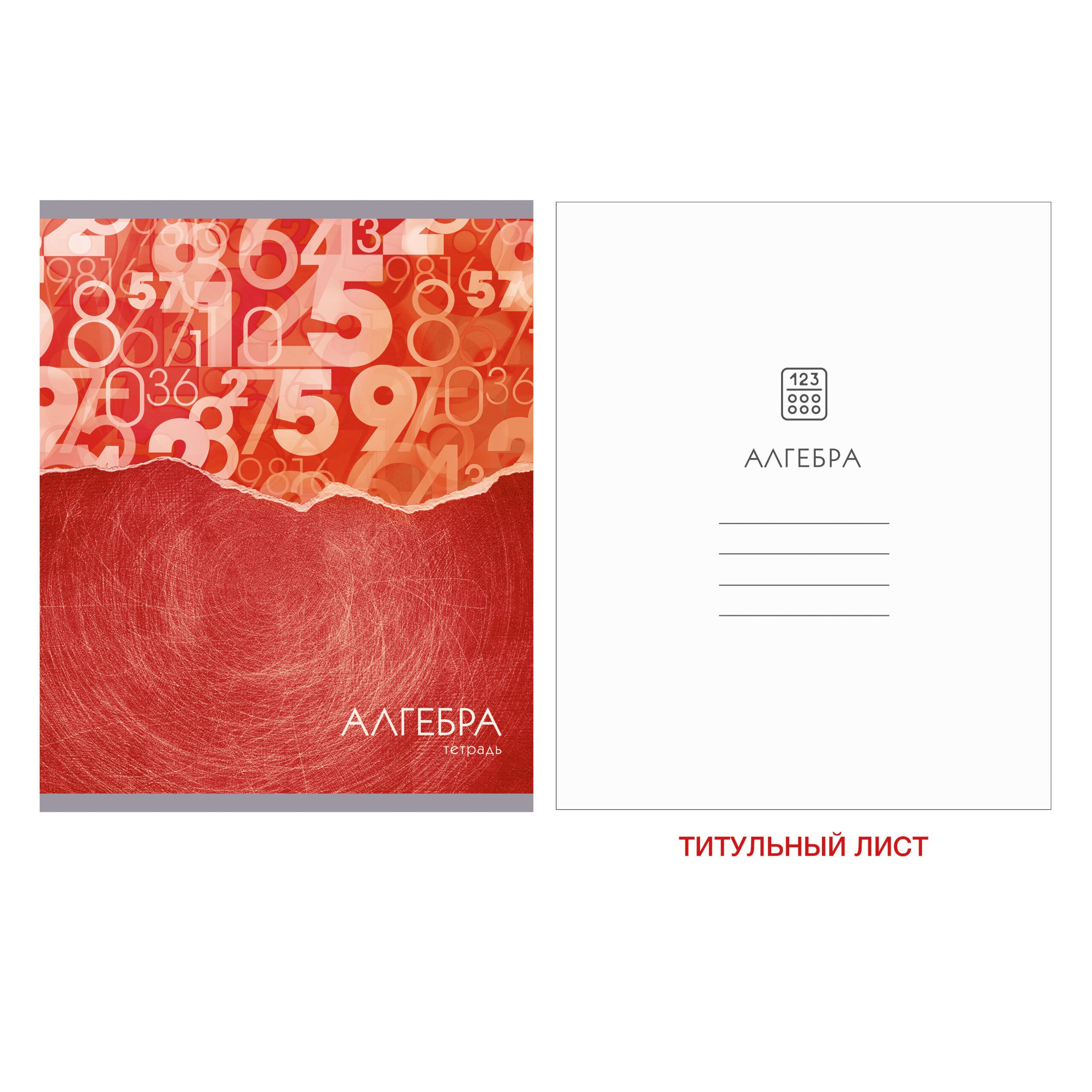 Steel light. Алгебра – ТТГ2Л486938 Steel light. Алгебра – ТТГ2Л486938