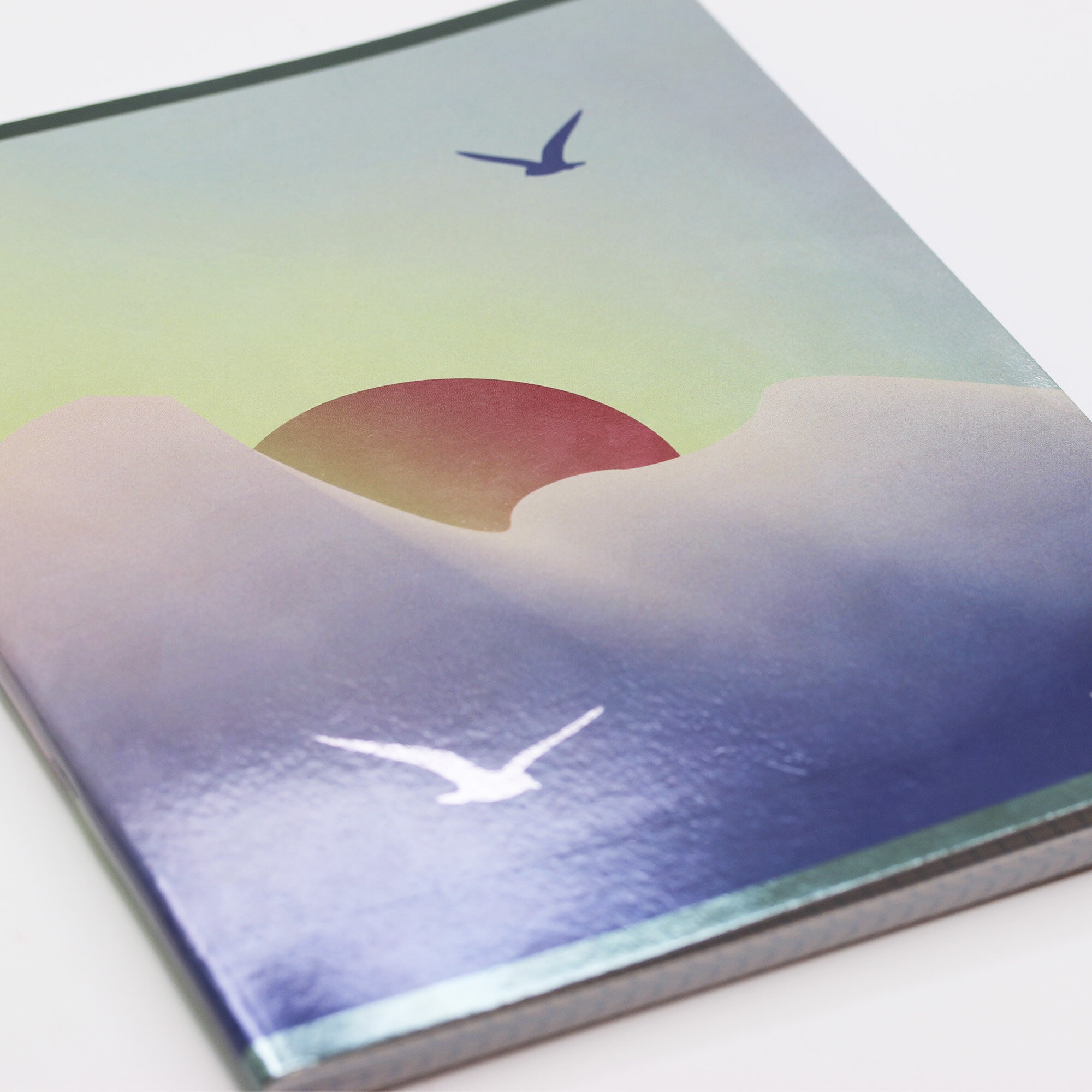 Shine. Дизайн 6 – ТГ4804757 Shine. Дизайн 6 – ТГ4804757