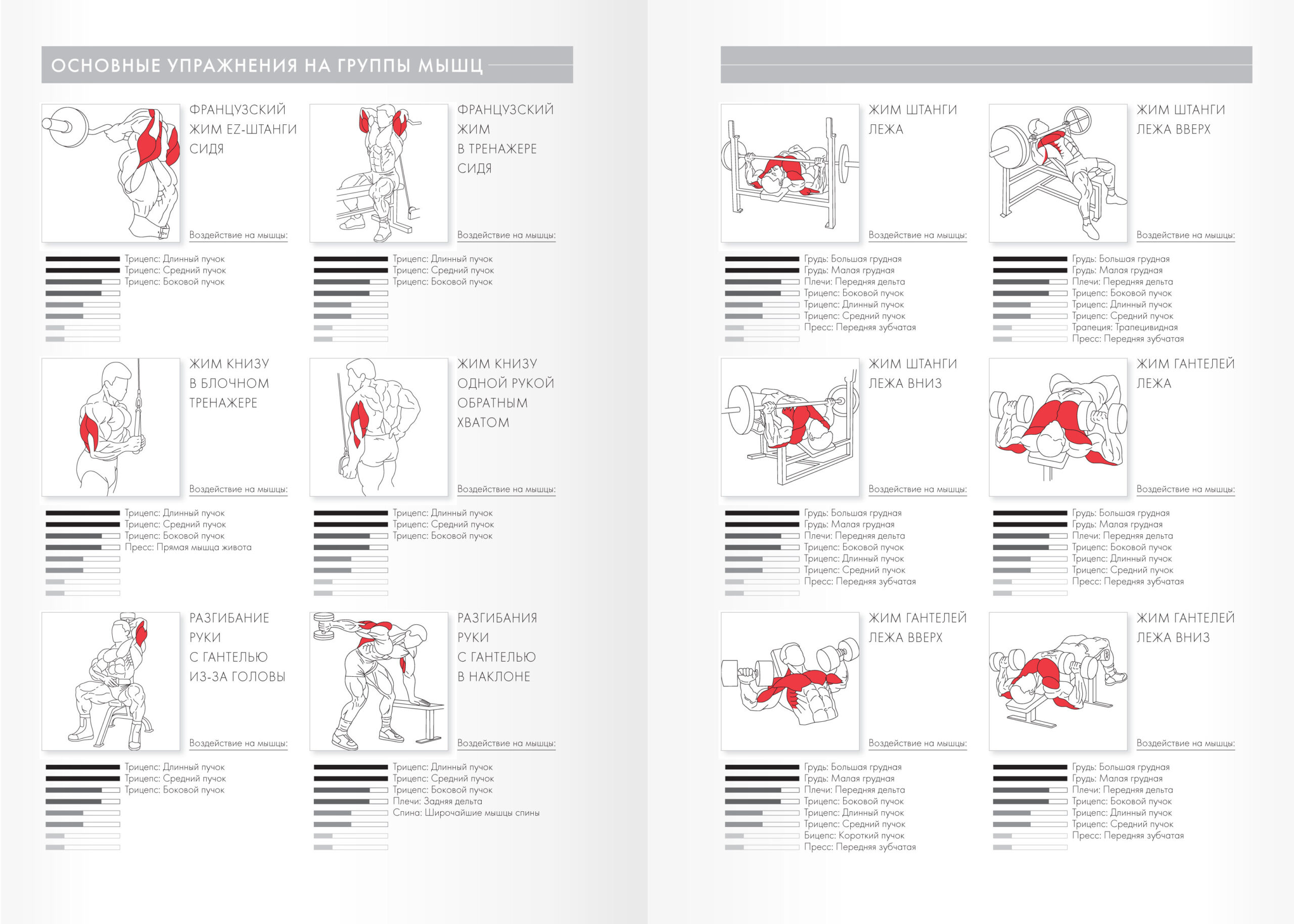 Training Diary. No 4 – ЕЖТС59632 Training Diary. No 4 – ЕЖТС59632