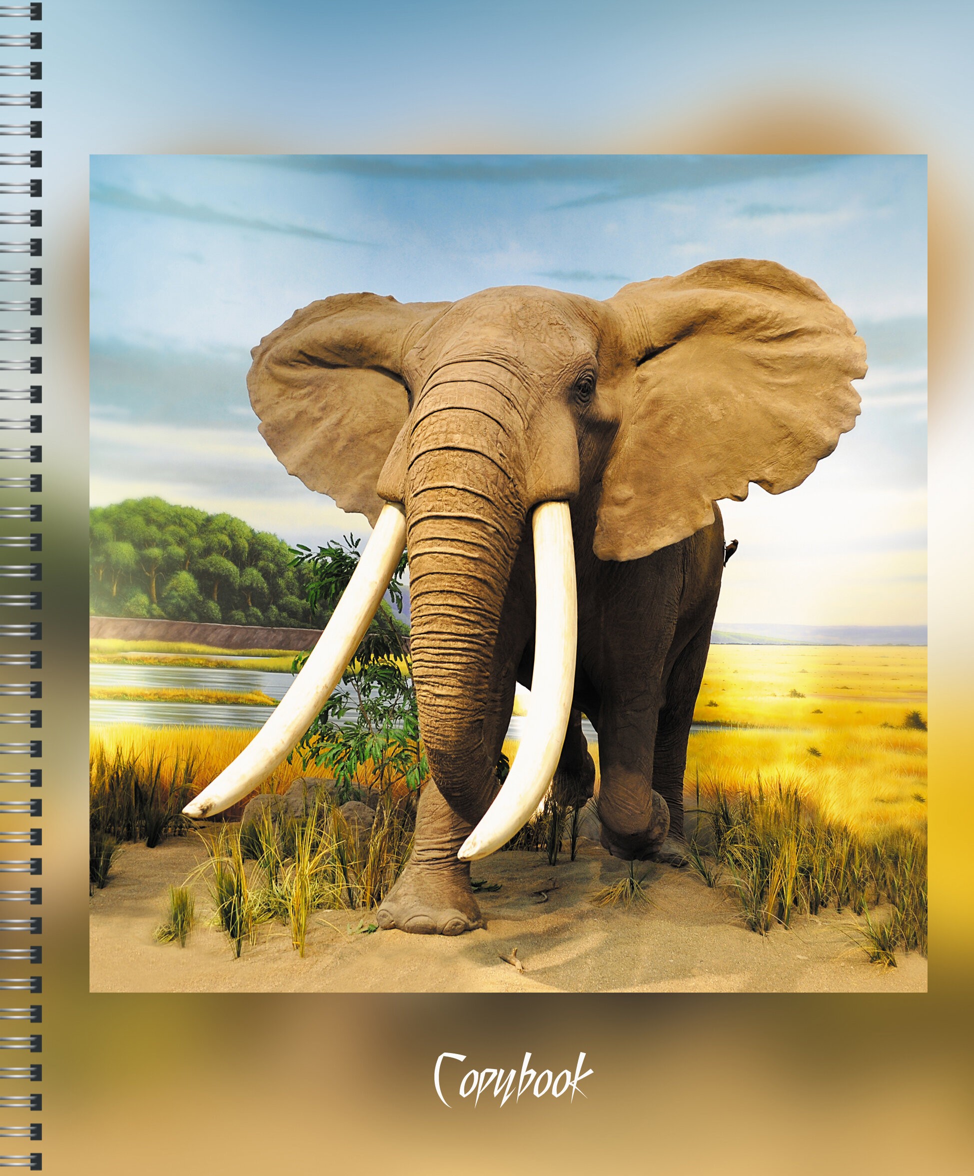 В дикой природе – ТСЛ807697 В дикой природе – ТСЛ807697