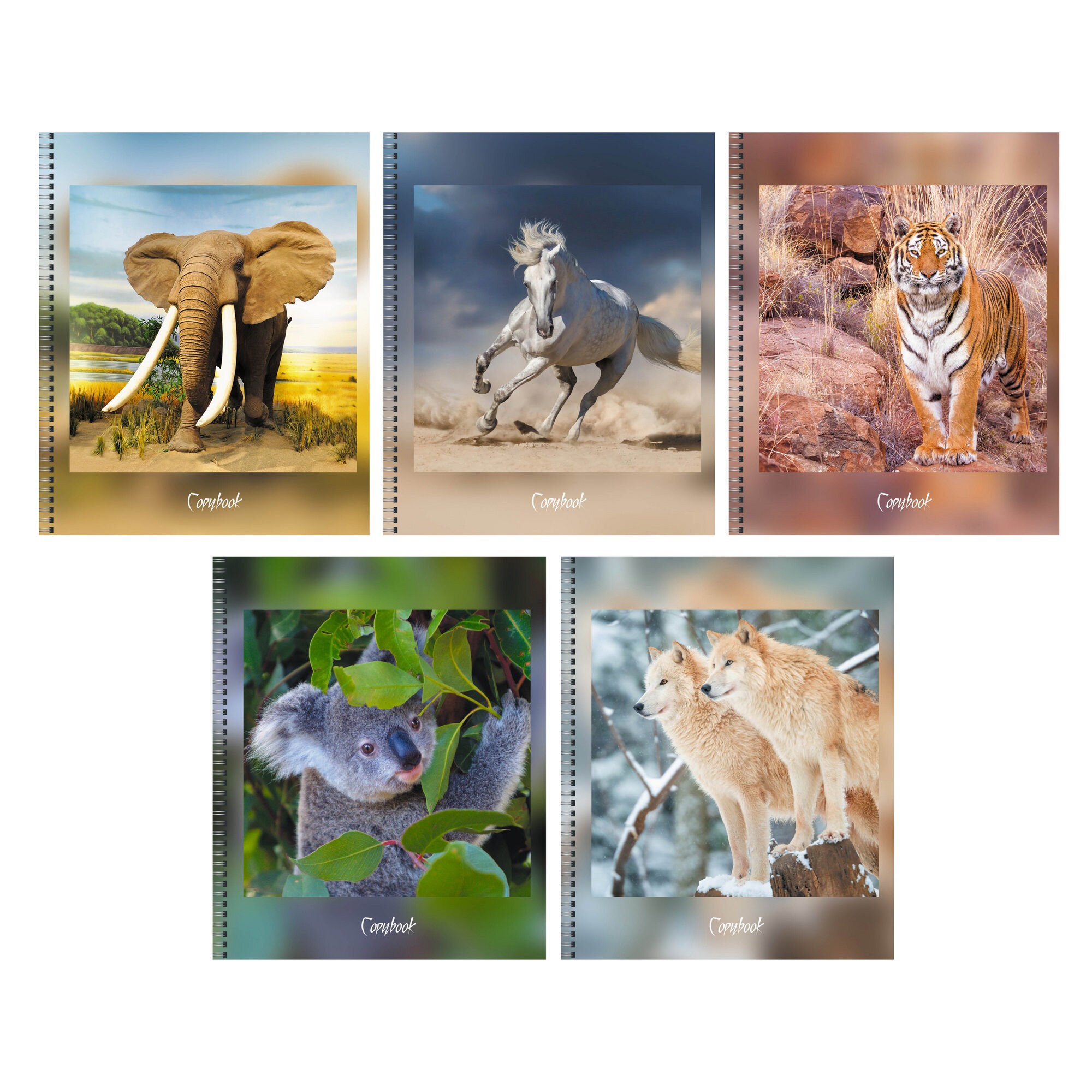 В дикой природе – ТСЛ807697 В дикой природе – ТСЛ807697