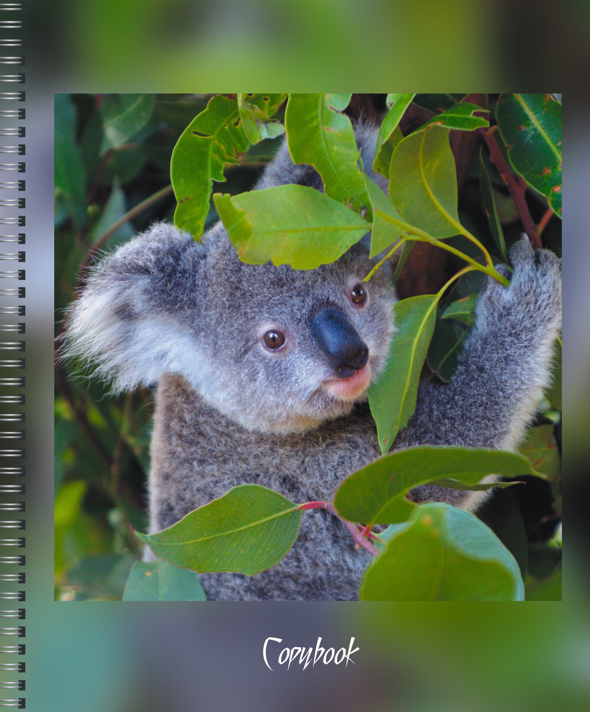 В дикой природе – ТСЛ807697 В дикой природе – ТСЛ807697