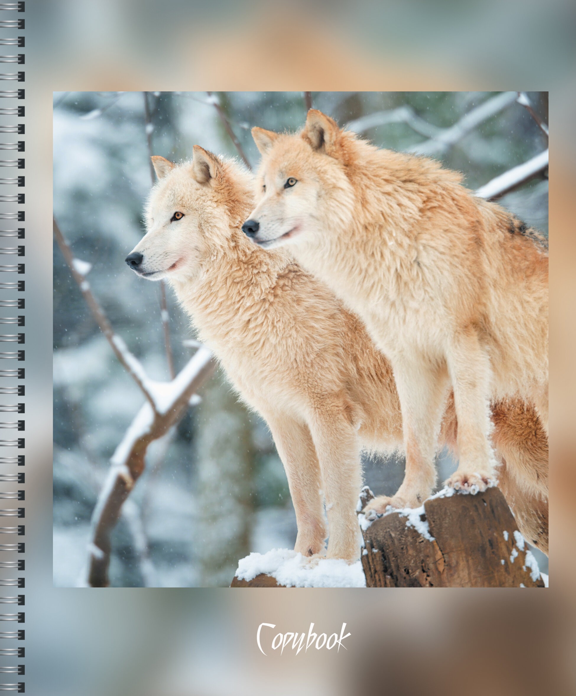 В дикой природе – ТСЛ807697 В дикой природе – ТСЛ807697