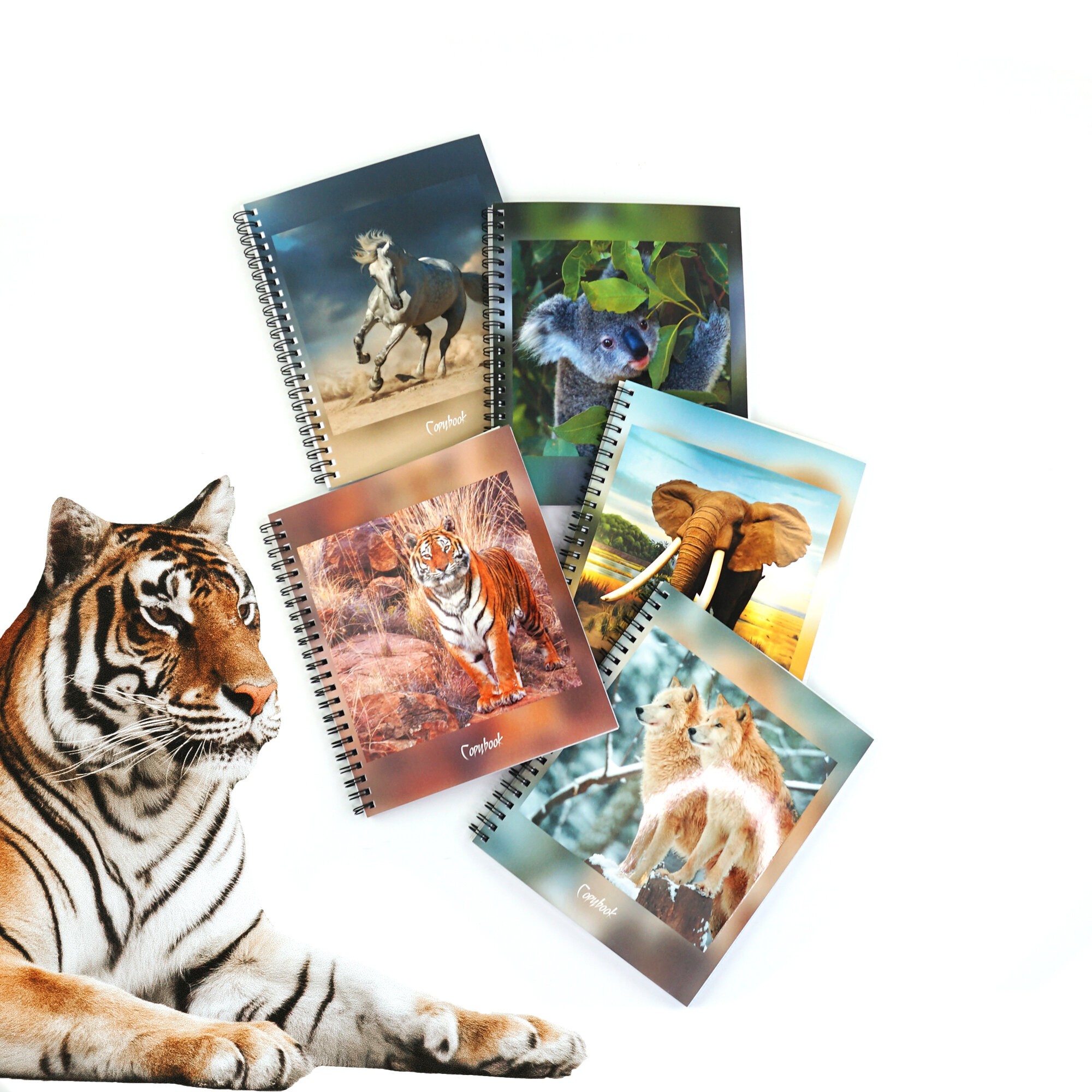 В дикой природе – ТСЛ807697 В дикой природе – ТСЛ807697