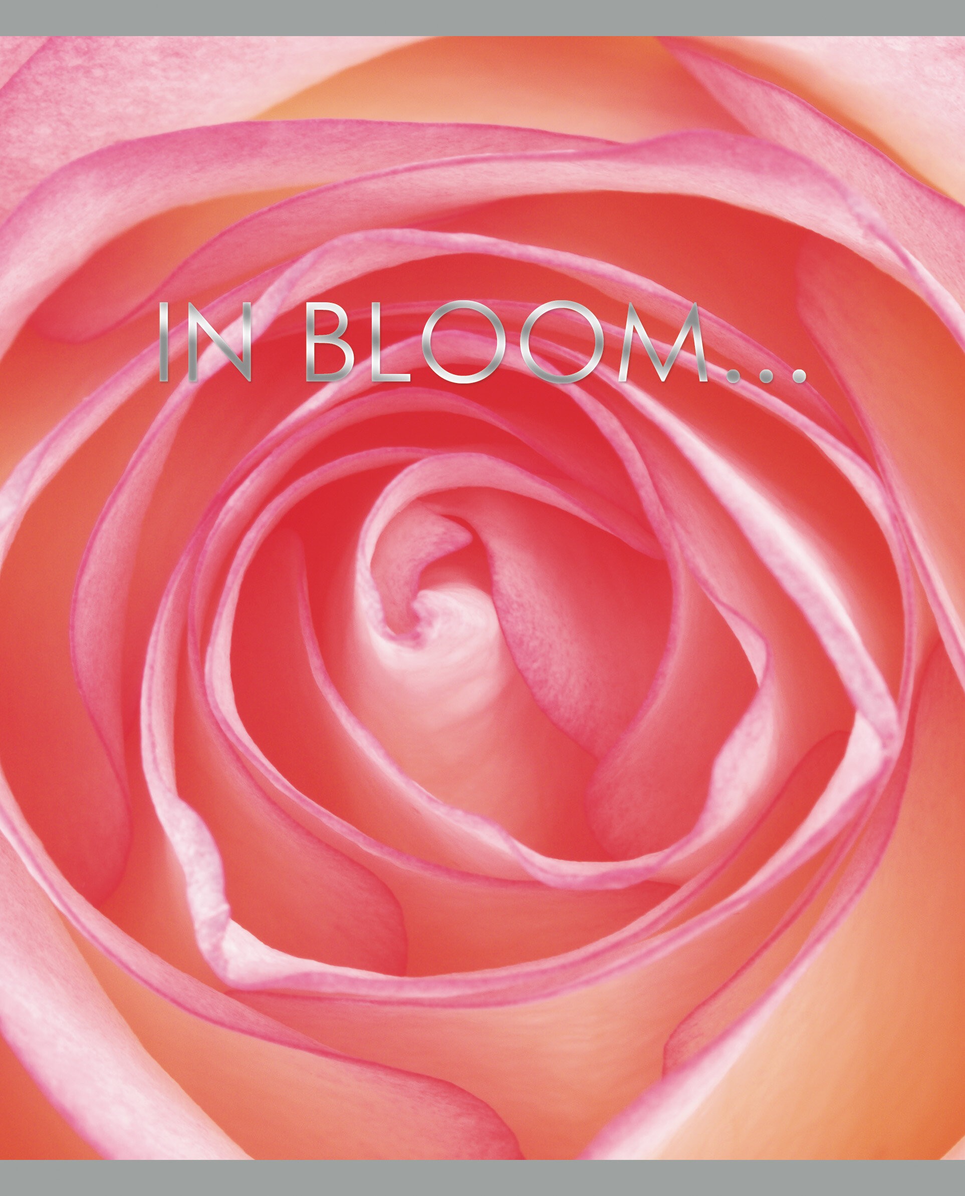 In bloom – ТФ967755 In bloom – ТФ967755