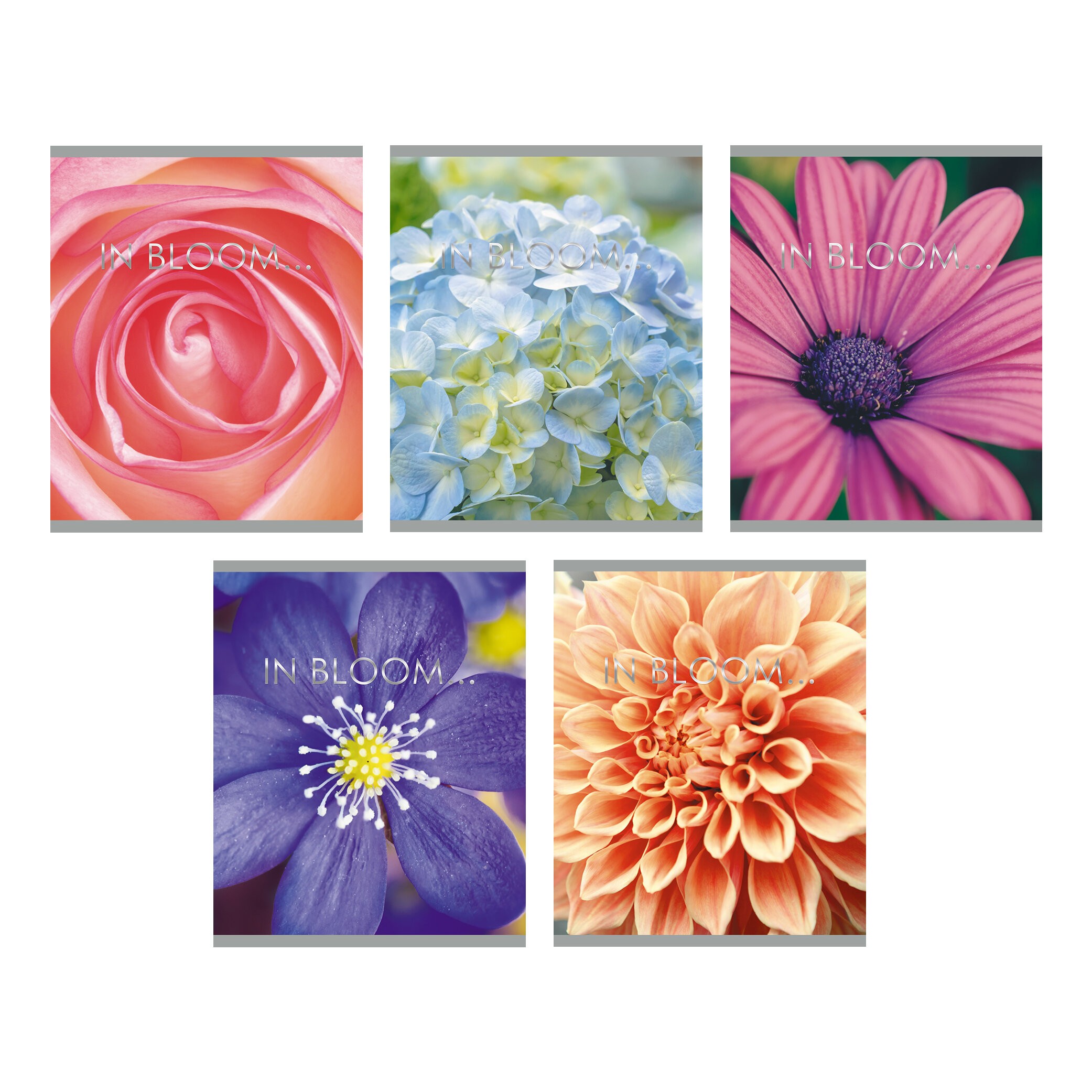 In bloom – ТФ967755 In bloom – ТФ967755