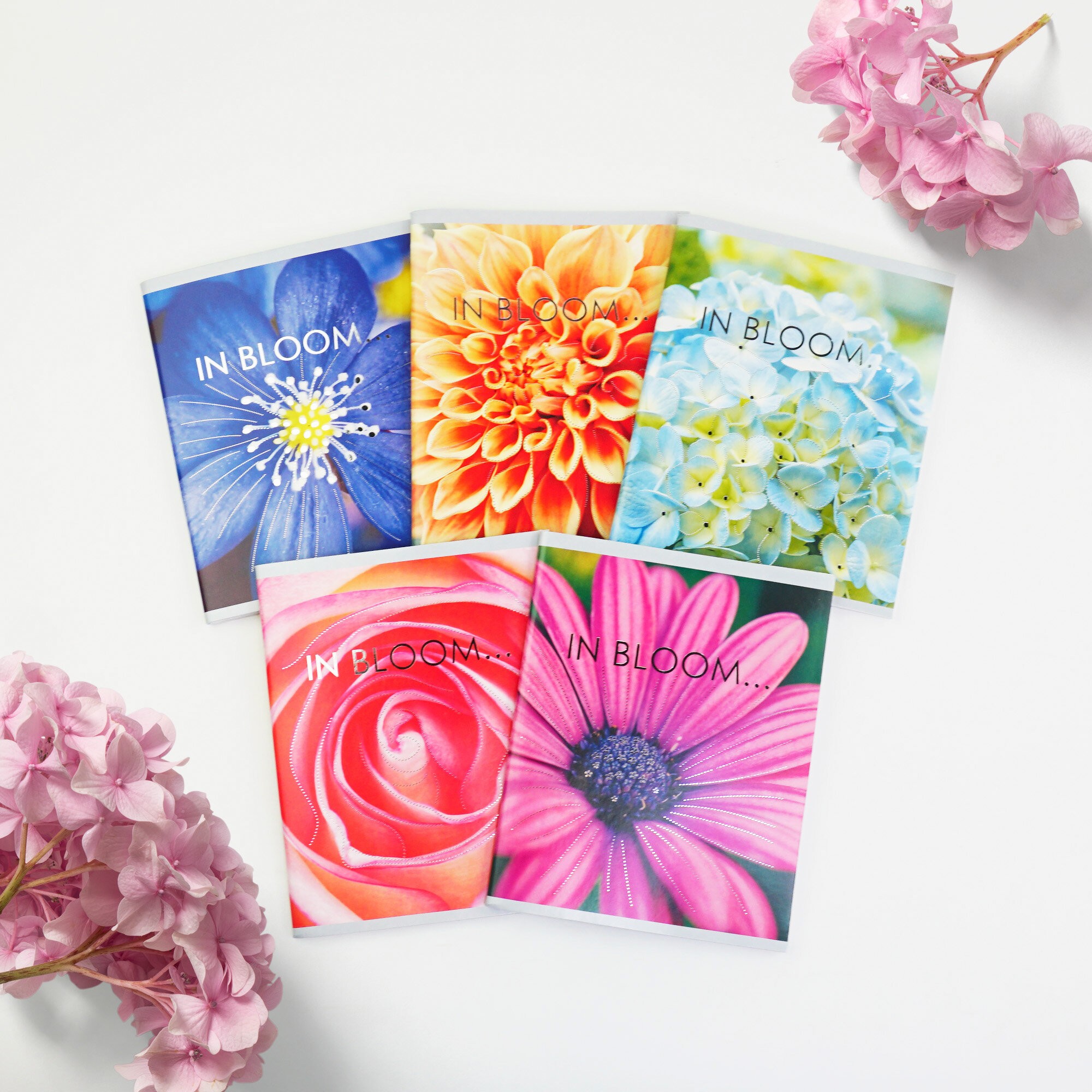 In bloom – ТФ967755 In bloom – ТФ967755