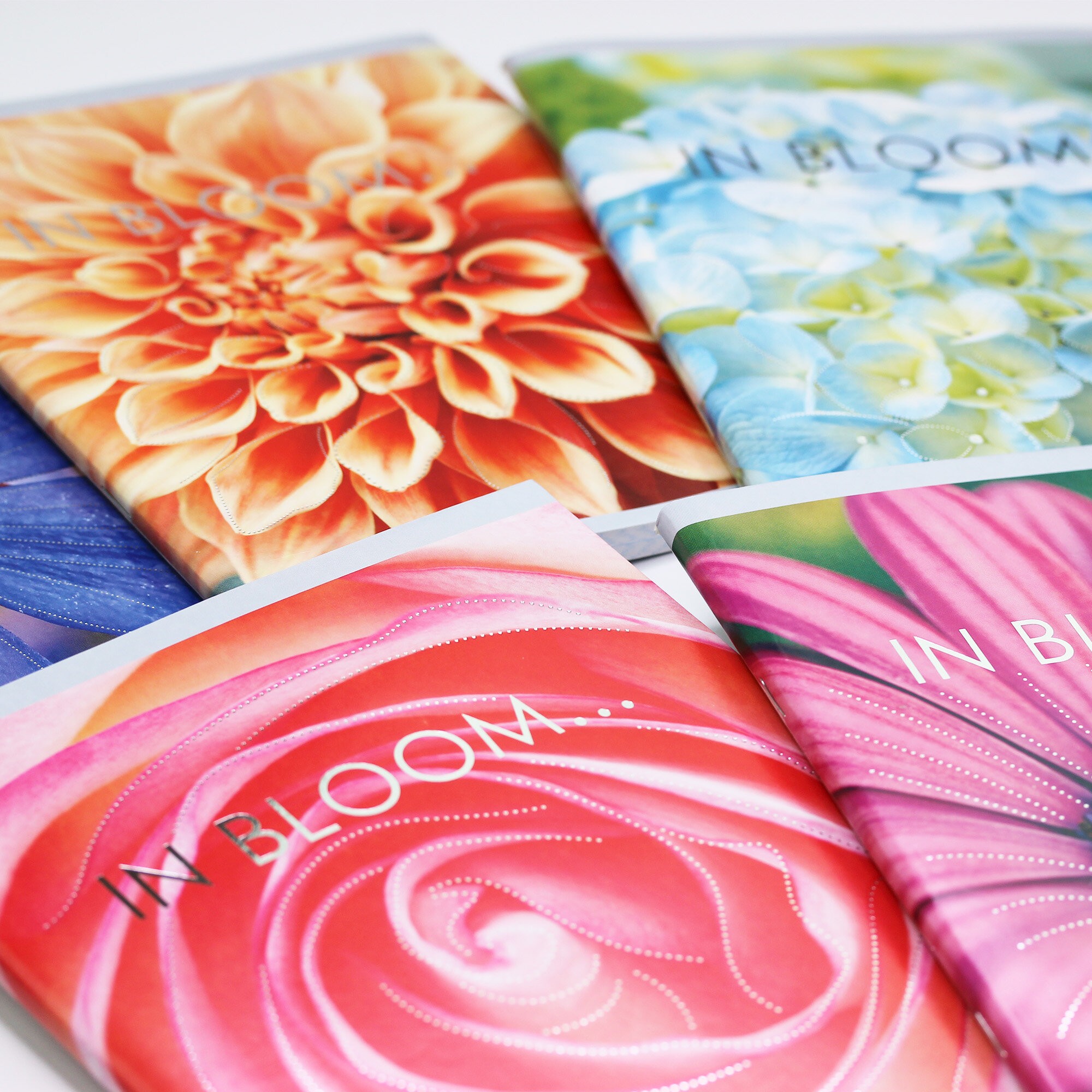 In bloom – ТФ967755 In bloom – ТФ967755