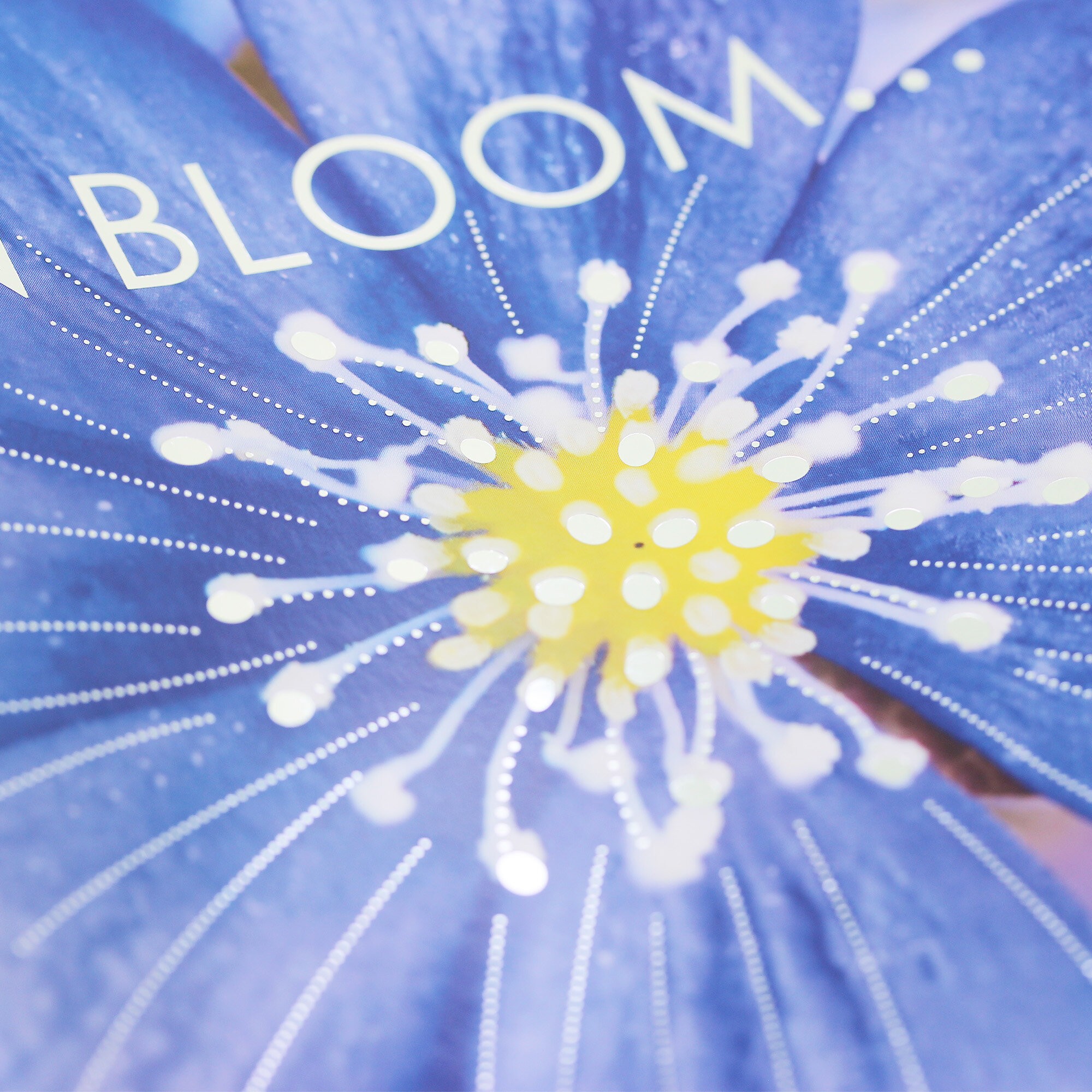 In bloom – ТФ967755 In bloom – ТФ967755