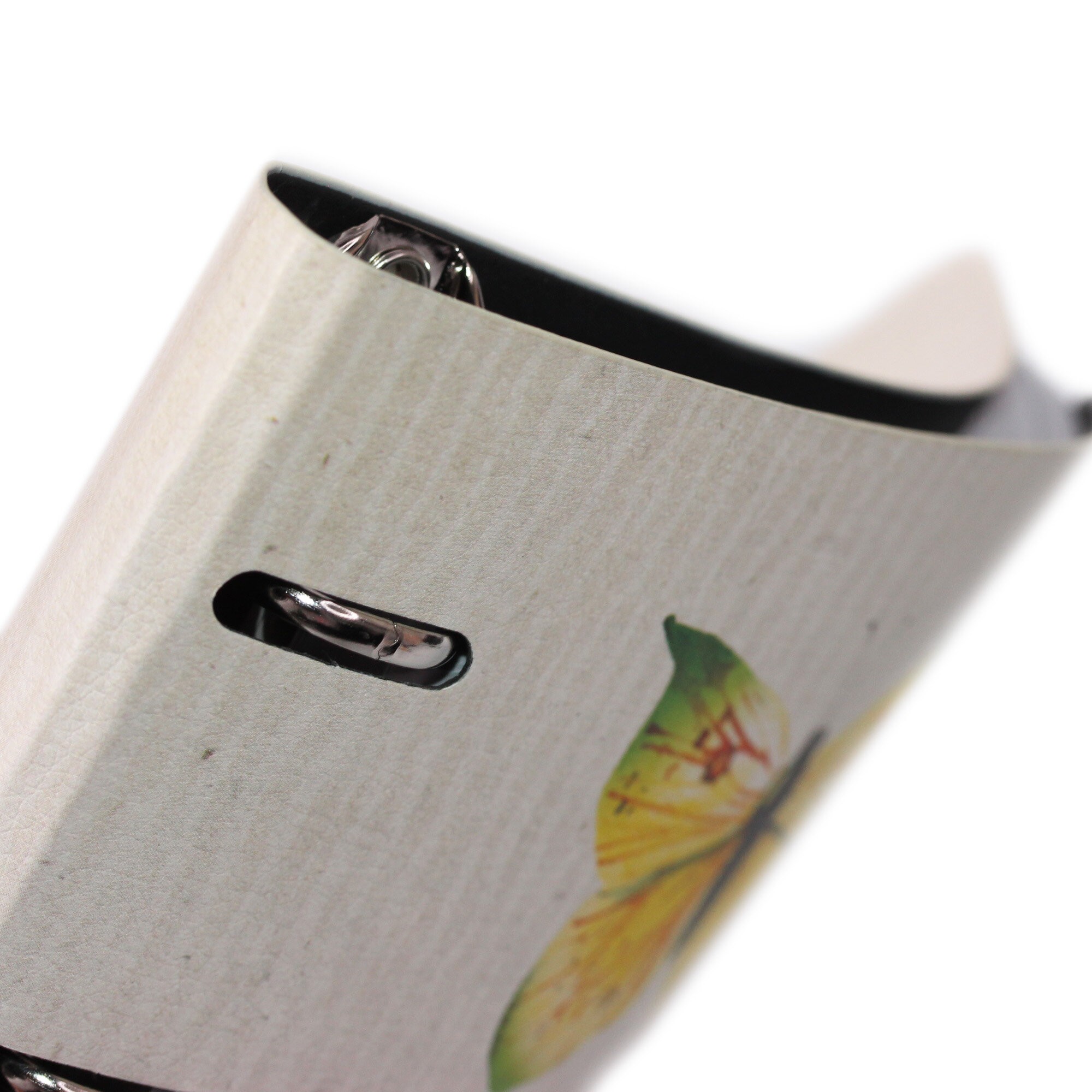 Inspiration. 1 – ПБИ1204893 Inspiration. 1 – ПБИ1204893