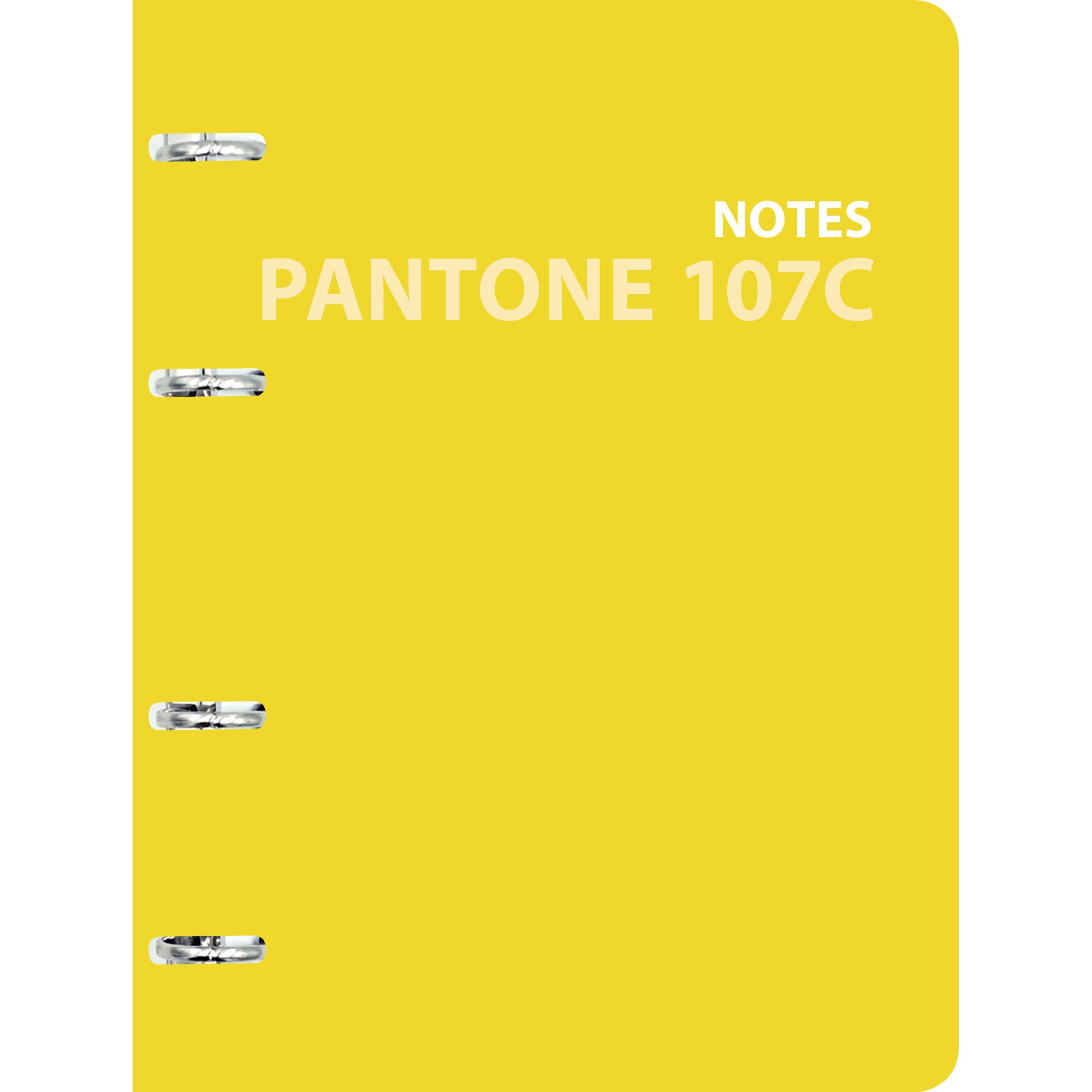 Pantone line. Color '21. No. 2 – ПБЛ1205004 Pantone line. Color '21. No. 2 – ПБЛ1205004