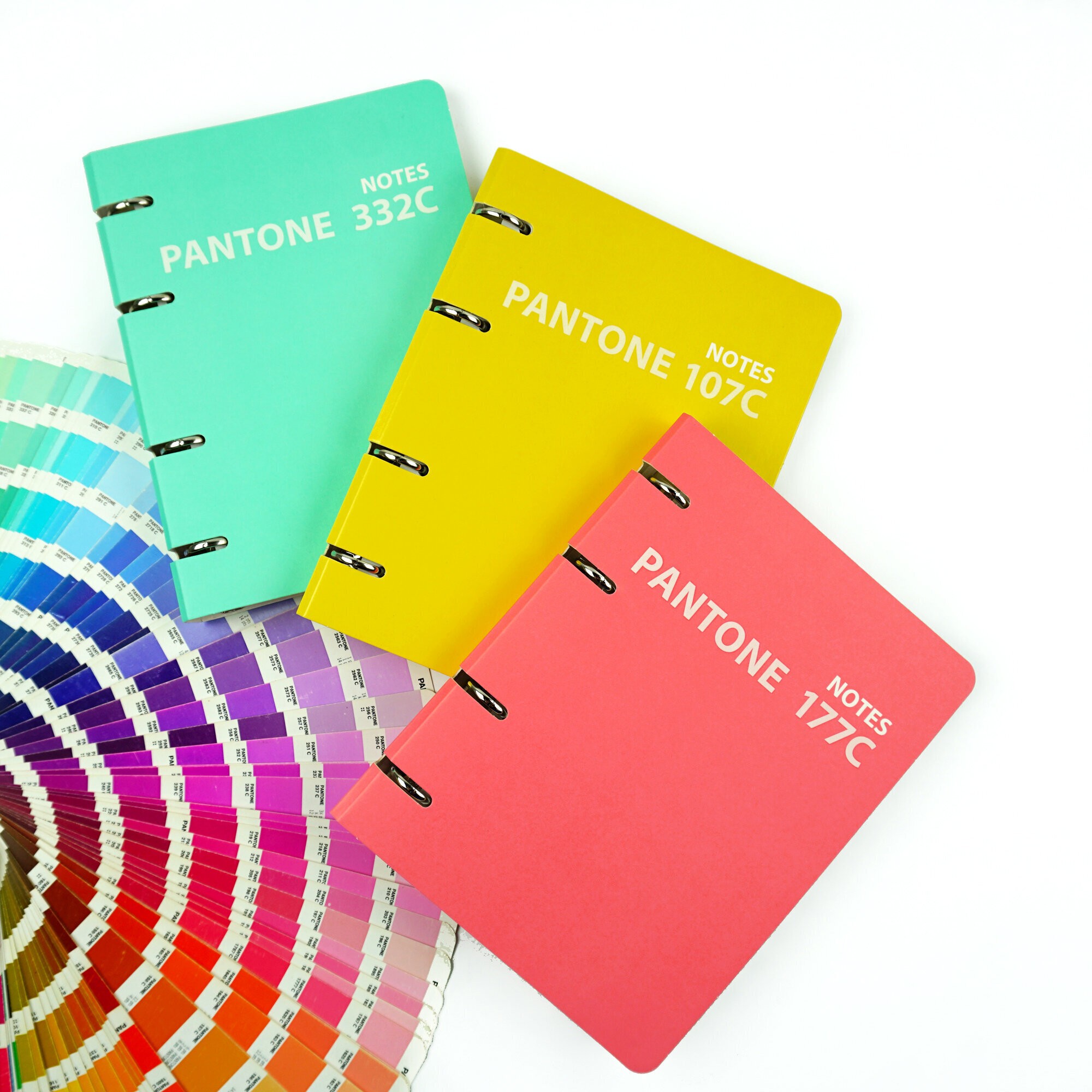 Pantone line. Color '21. No. 2 – ПБЛ1205004 Pantone line. Color '21. No. 2 – ПБЛ1205004