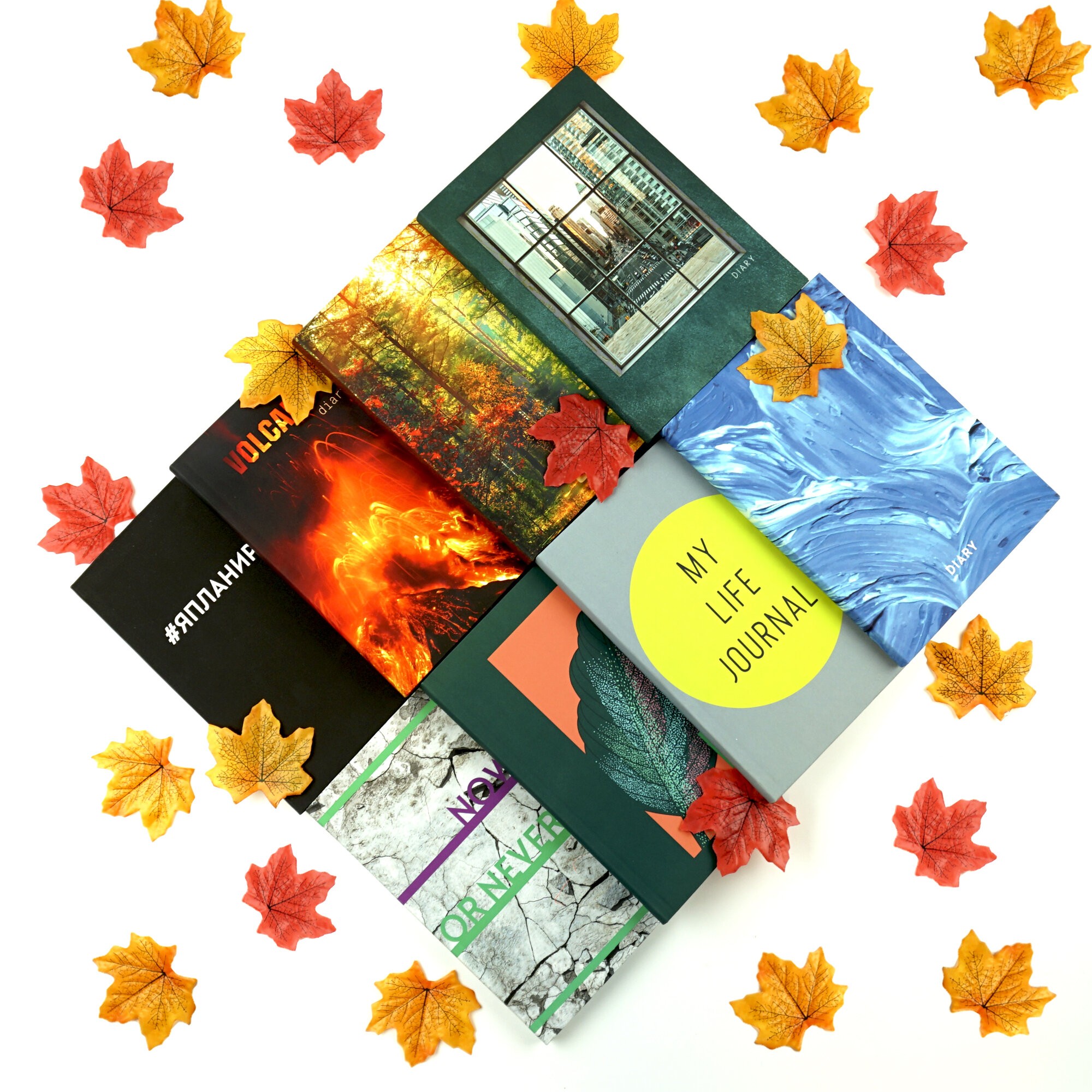 Яркий лист – ЕЖИ22512801 Яркий лист – ЕЖИ22512801