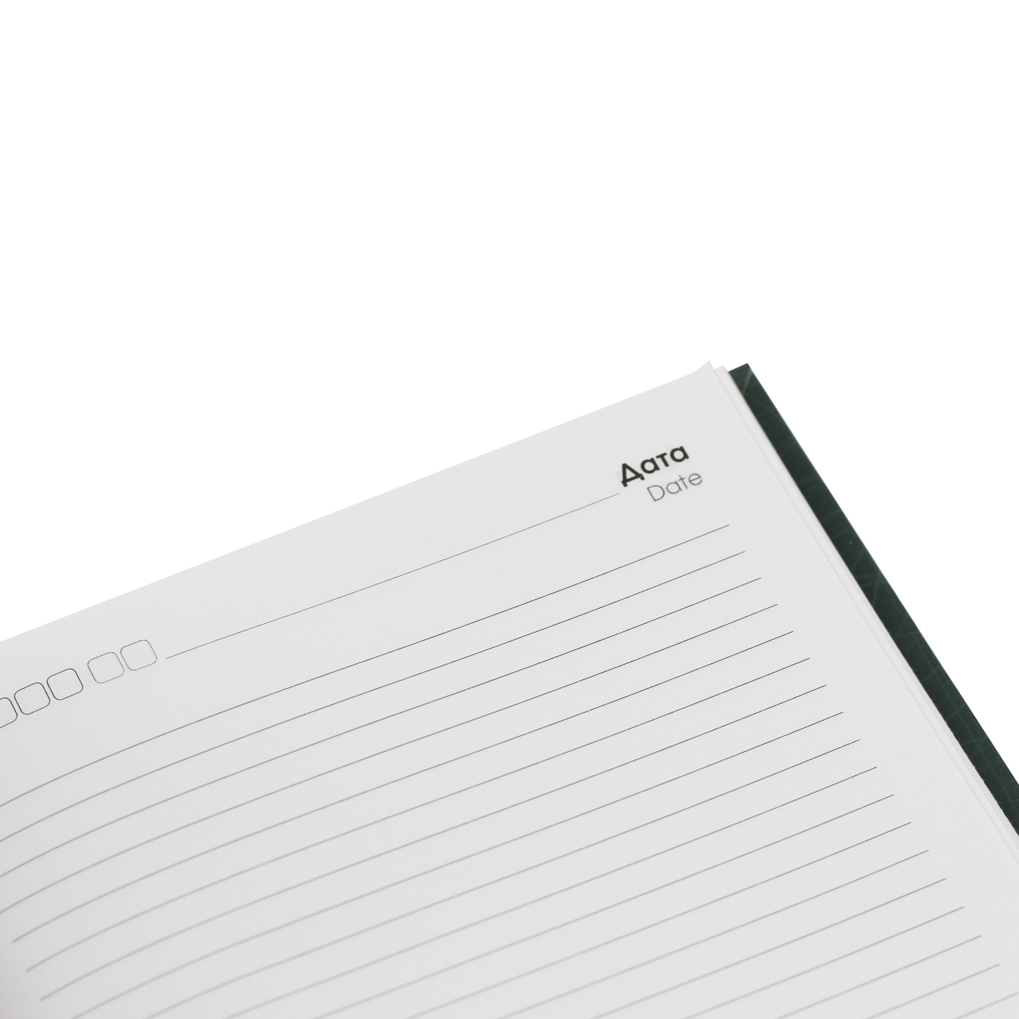 Яркий лист – ЕЖИ22512801 Яркий лист – ЕЖИ22512801