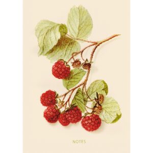 Главная страница