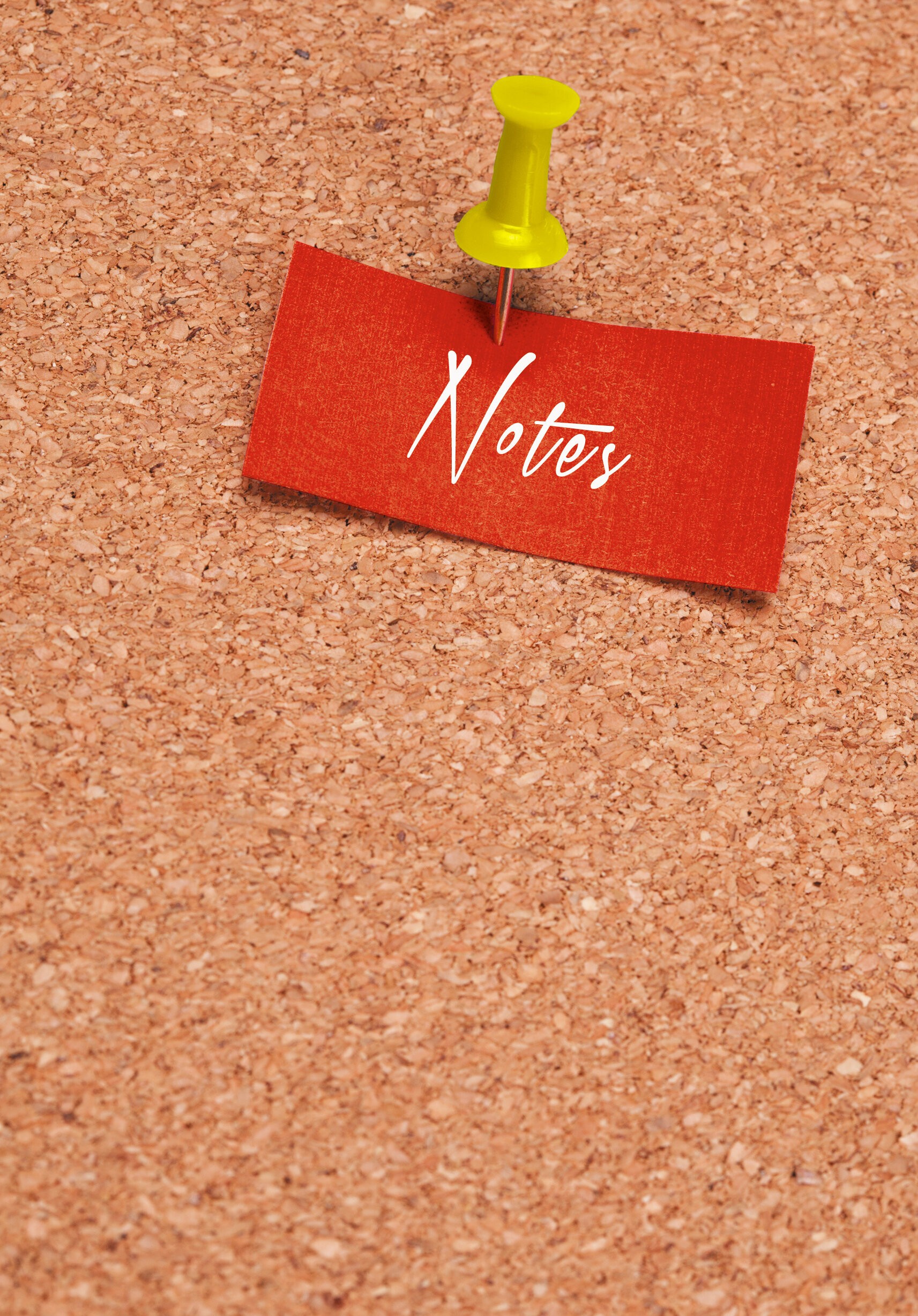 Notes – КЗ51003506 Notes – КЗ51003506