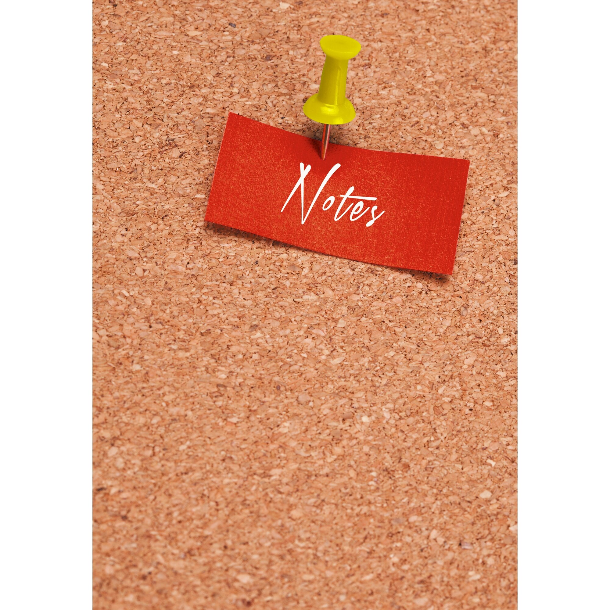 Notes – КЗ51003506 Notes – КЗ51003506