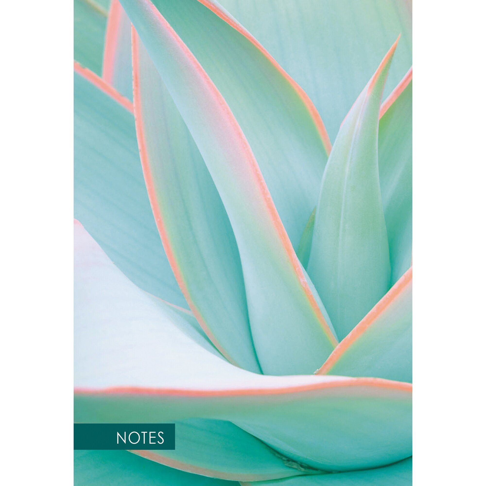 Aloe – КЗ51003516 Aloe – КЗ51003516