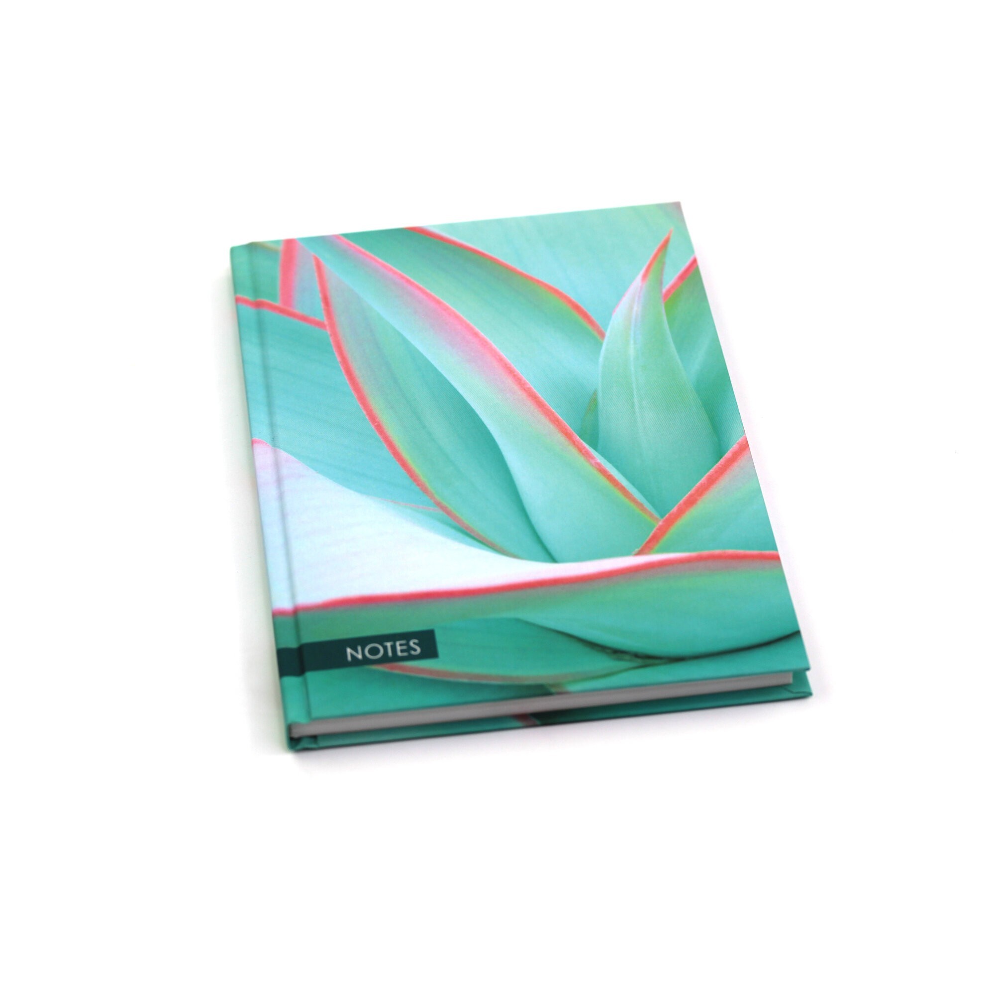 Aloe – КЗ51003516 Aloe – КЗ51003516