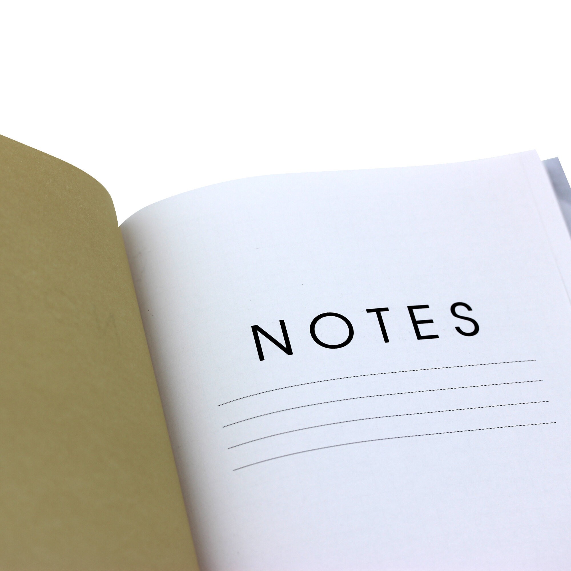 Aloe – КЗ51003516 Aloe – КЗ51003516