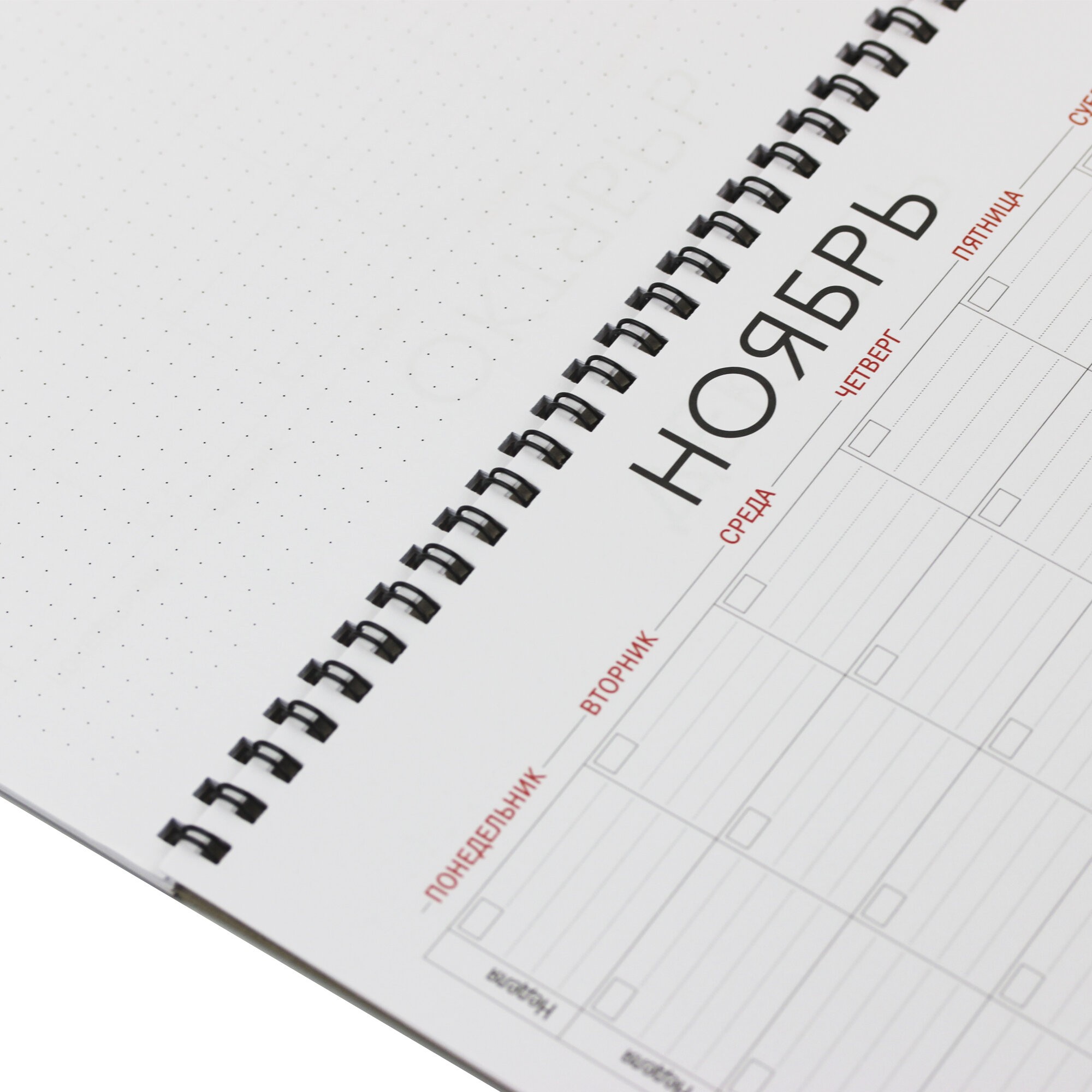 Mr. Grey. No 2 – ПНС222002 Mr. Grey. No 2 – ПНС222002