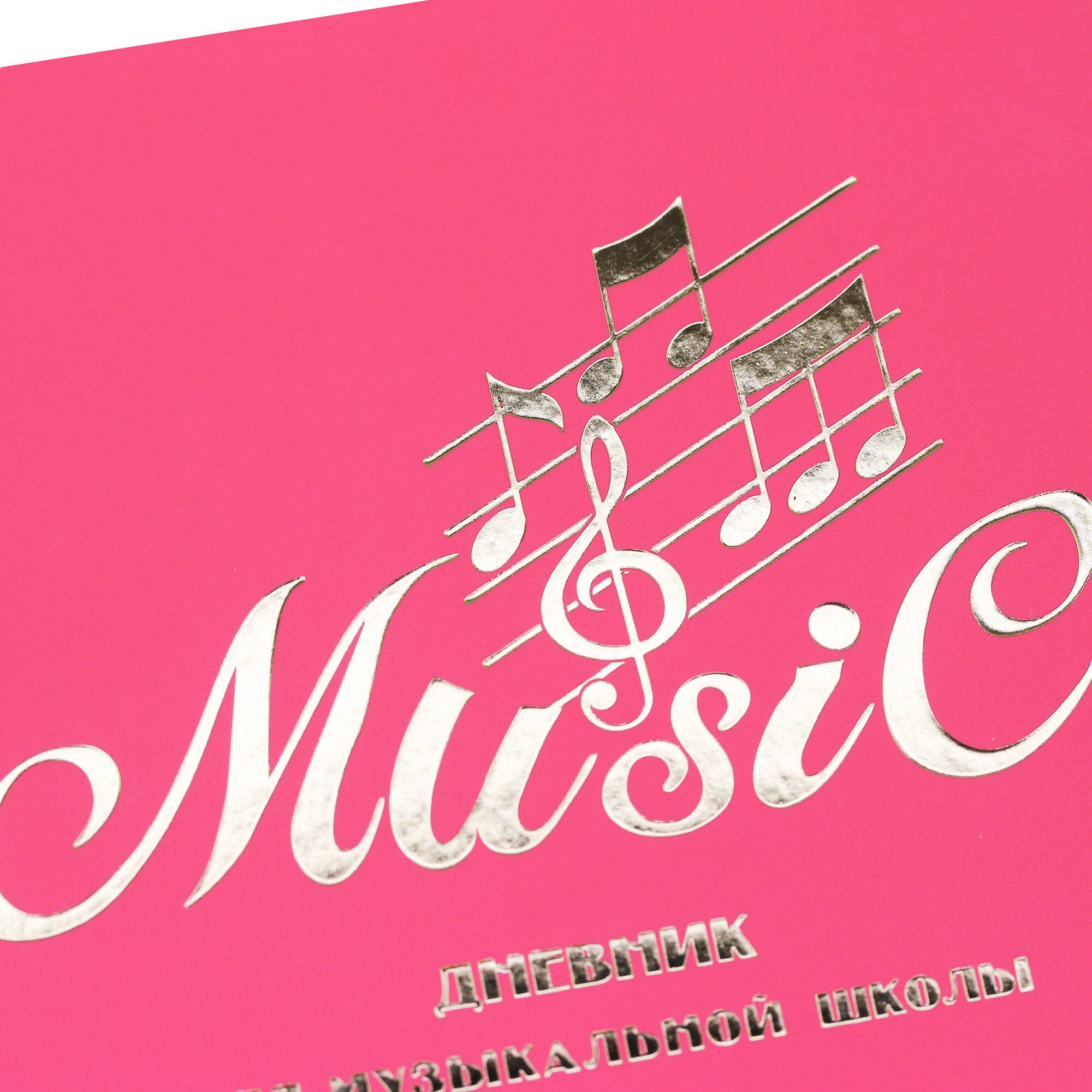 Для музыкальной школы. Дизайн 19 (22) – ДМПФ224803 Для музыкальной школы. Дизайн 19 (22) – ДМПФ224803