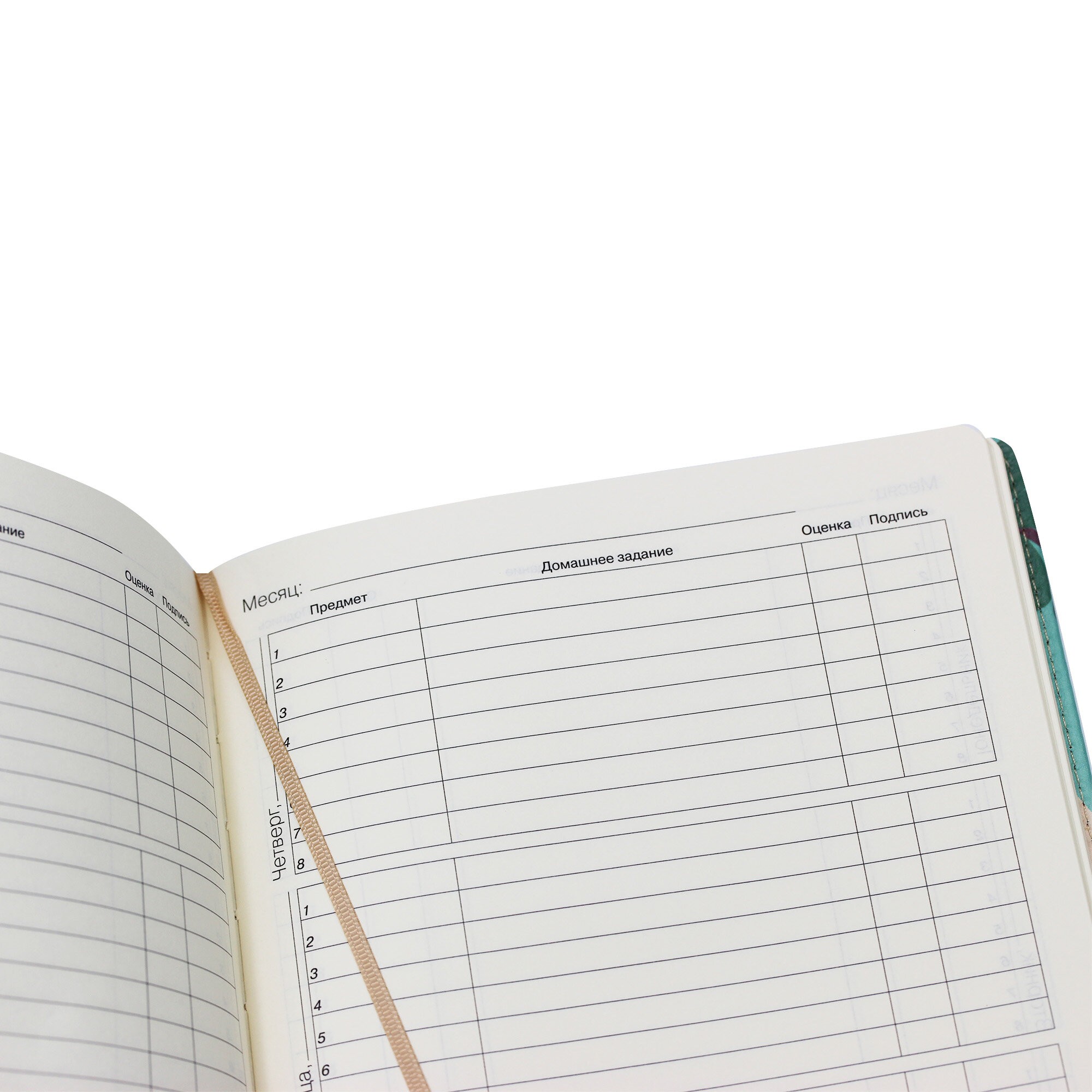 SchoolMix. Panda – ДУК224809 SchoolMix. Panda – ДУК224809