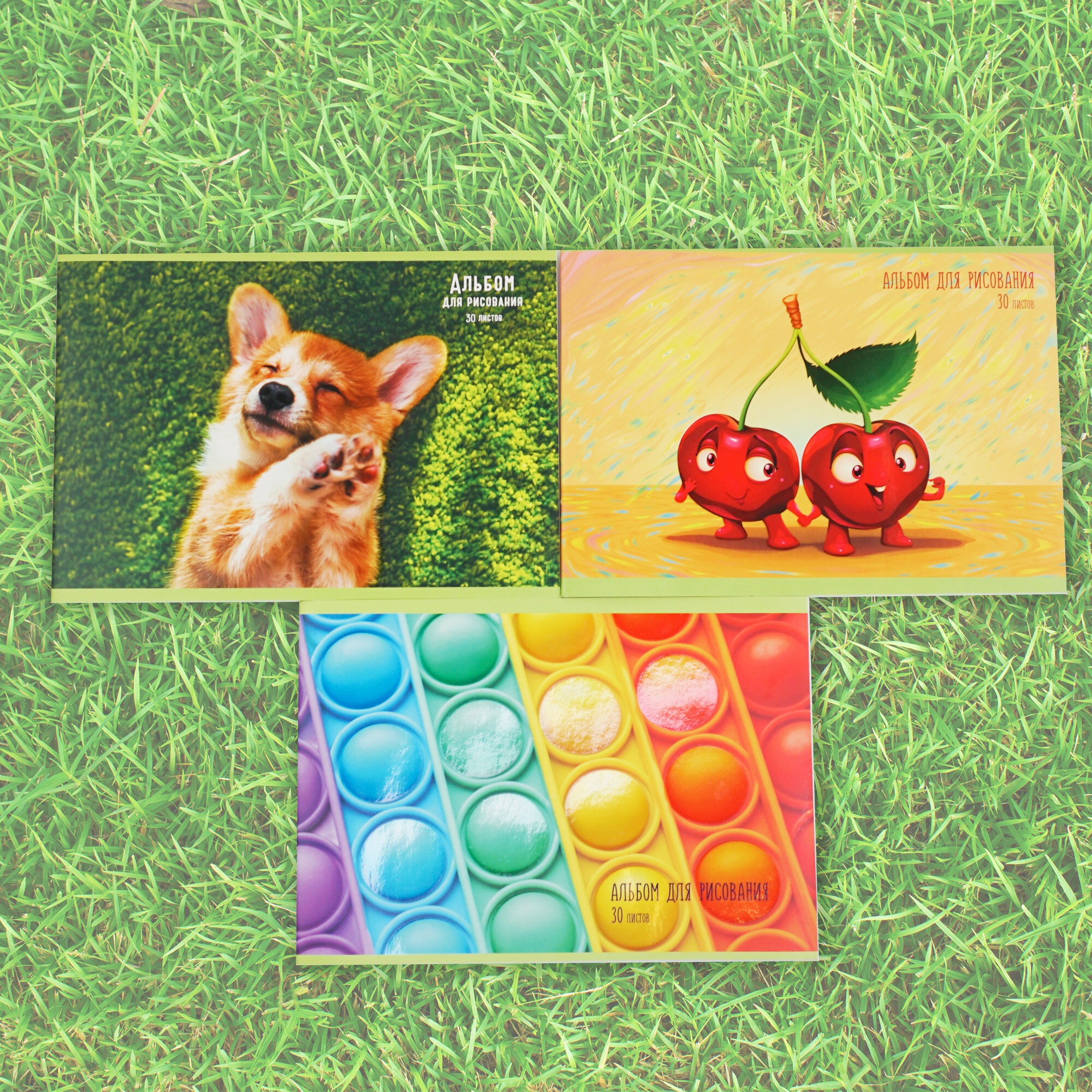 Pop it – АЛ302320 Pop it – АЛ302320