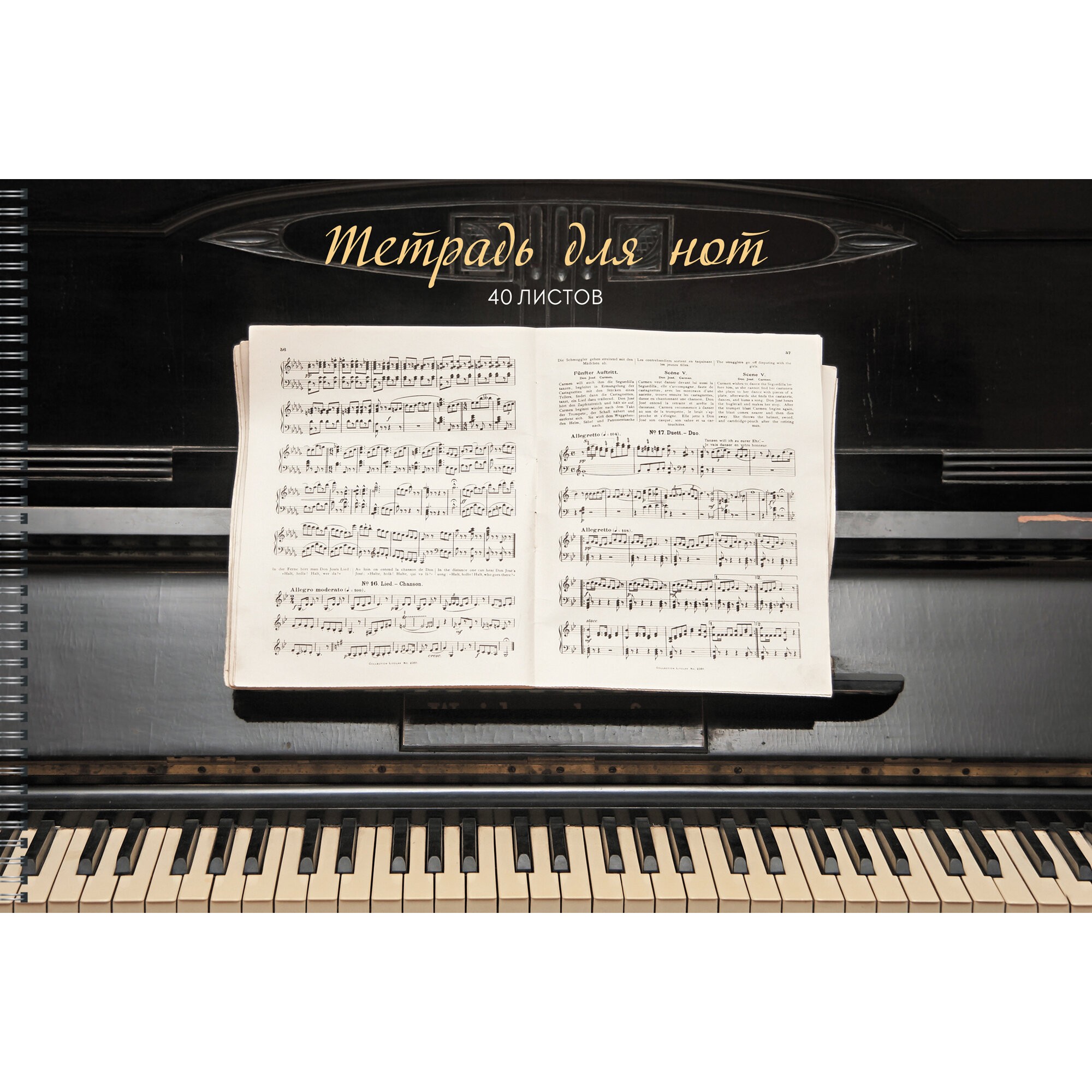 Нотный стан – ТНС40179 Нотный стан – ТНС40179