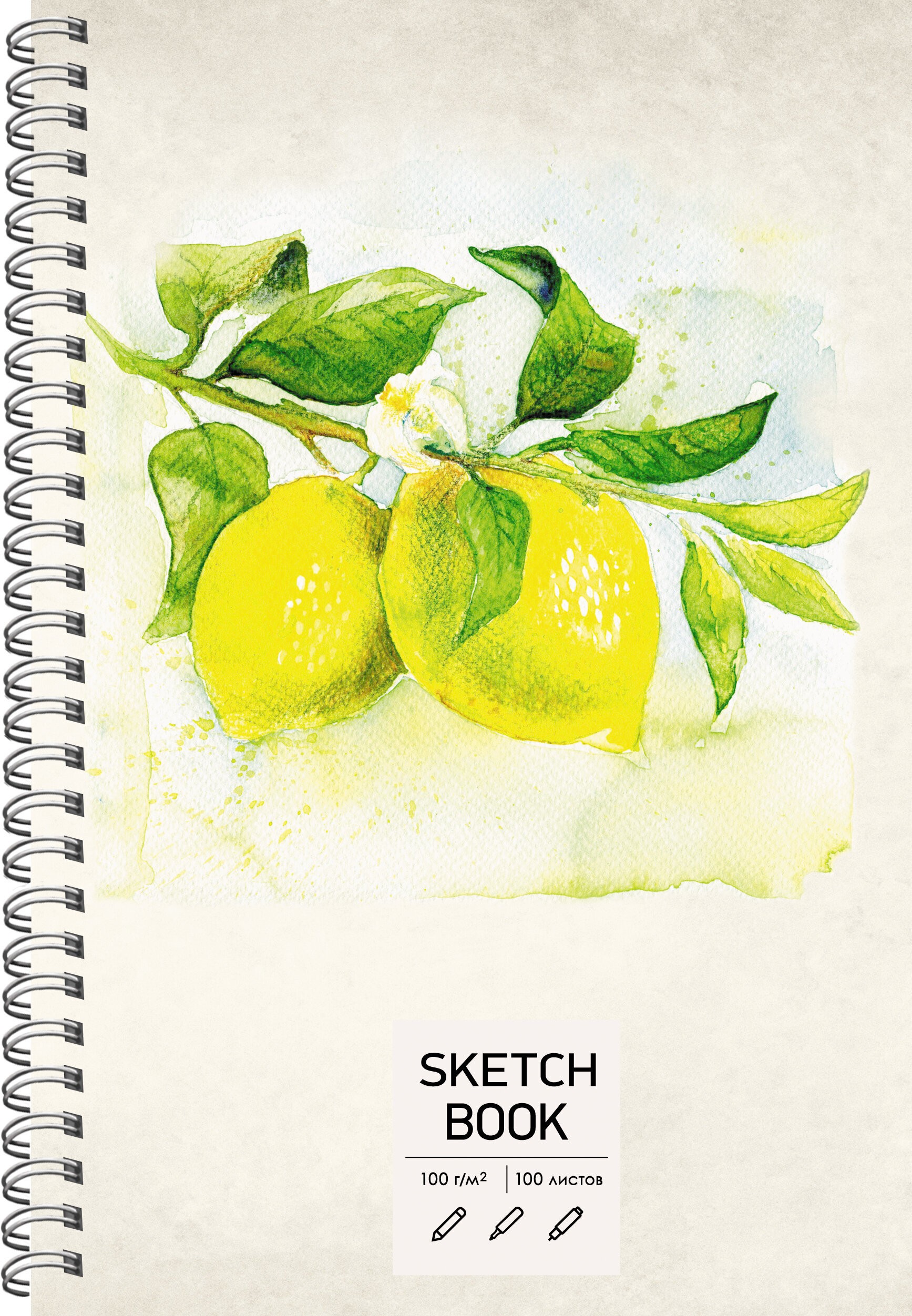 SKETCHBOOK. Лимоны – ТС51005062 SKETCHBOOK. Лимоны – ТС51005062