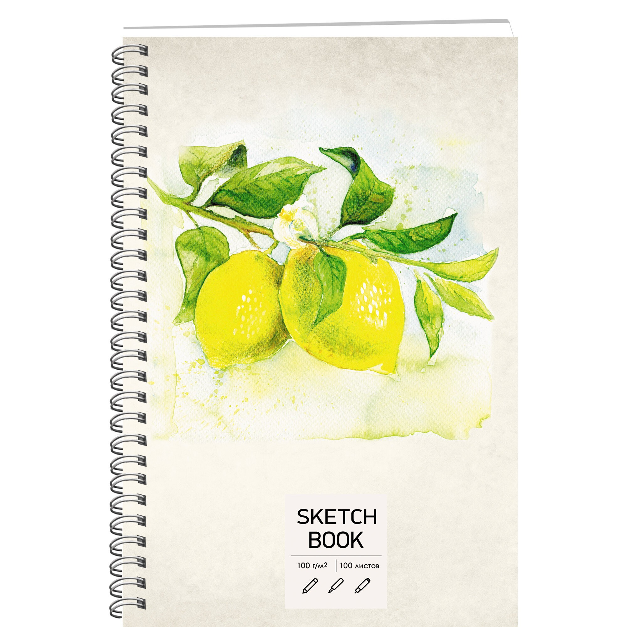 SKETCHBOOK. Лимоны – ТС51005062 SKETCHBOOK. Лимоны – ТС51005062