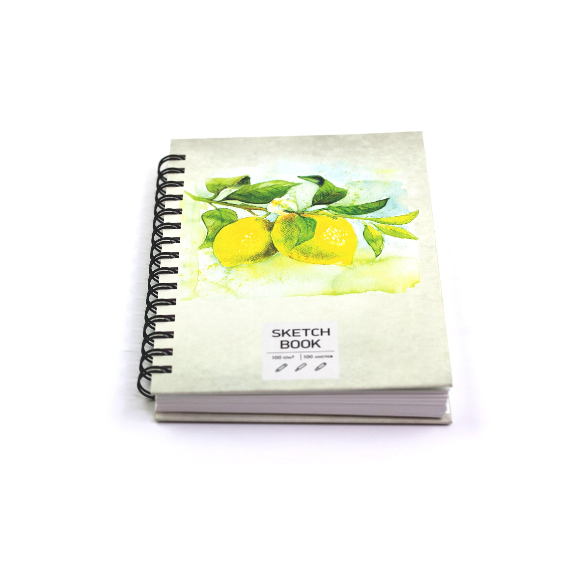 SKETCHBOOK. Лимоны – ТС51005062 SKETCHBOOK. Лимоны – ТС51005062