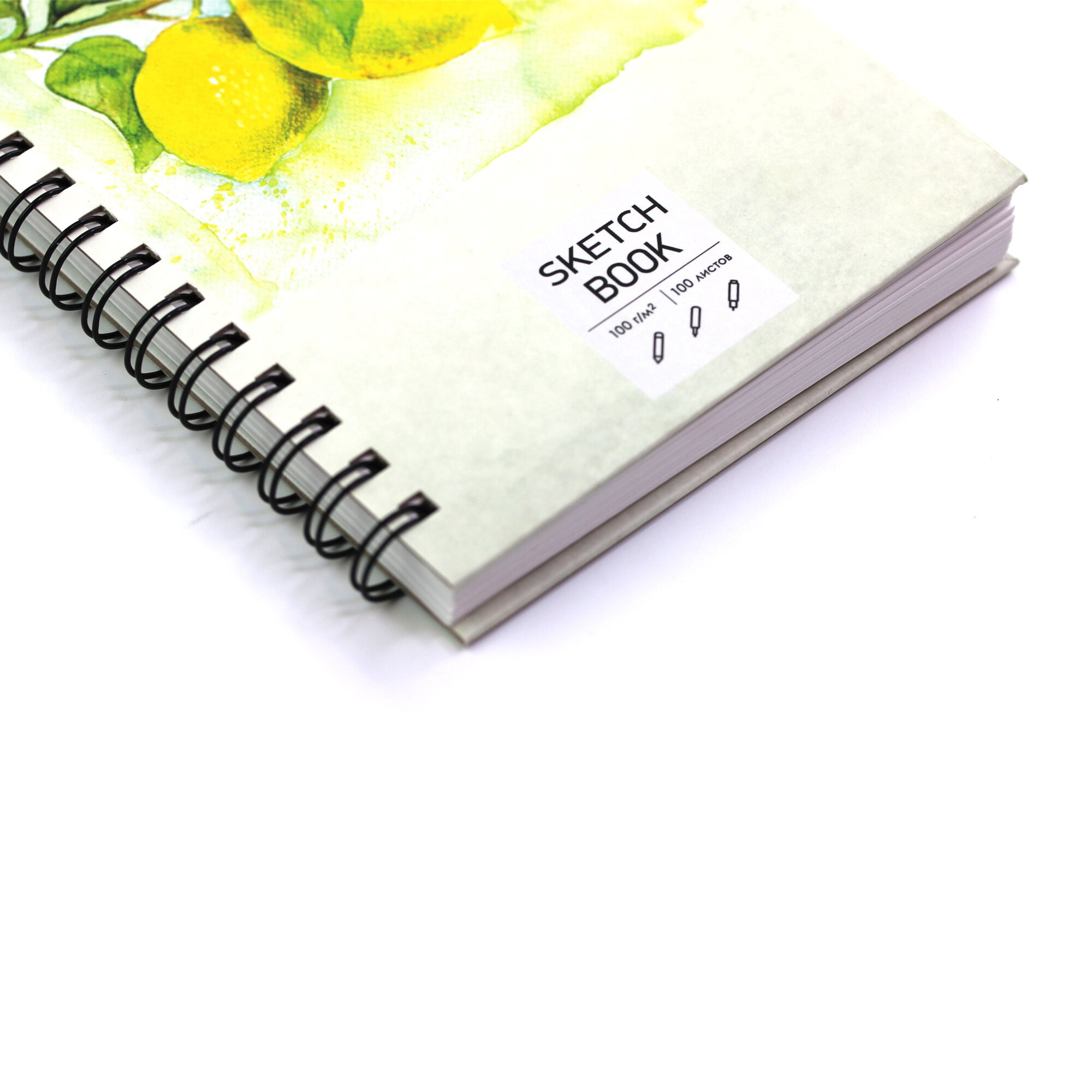 SKETCHBOOK. Лимоны – ТС51005062 SKETCHBOOK. Лимоны – ТС51005062