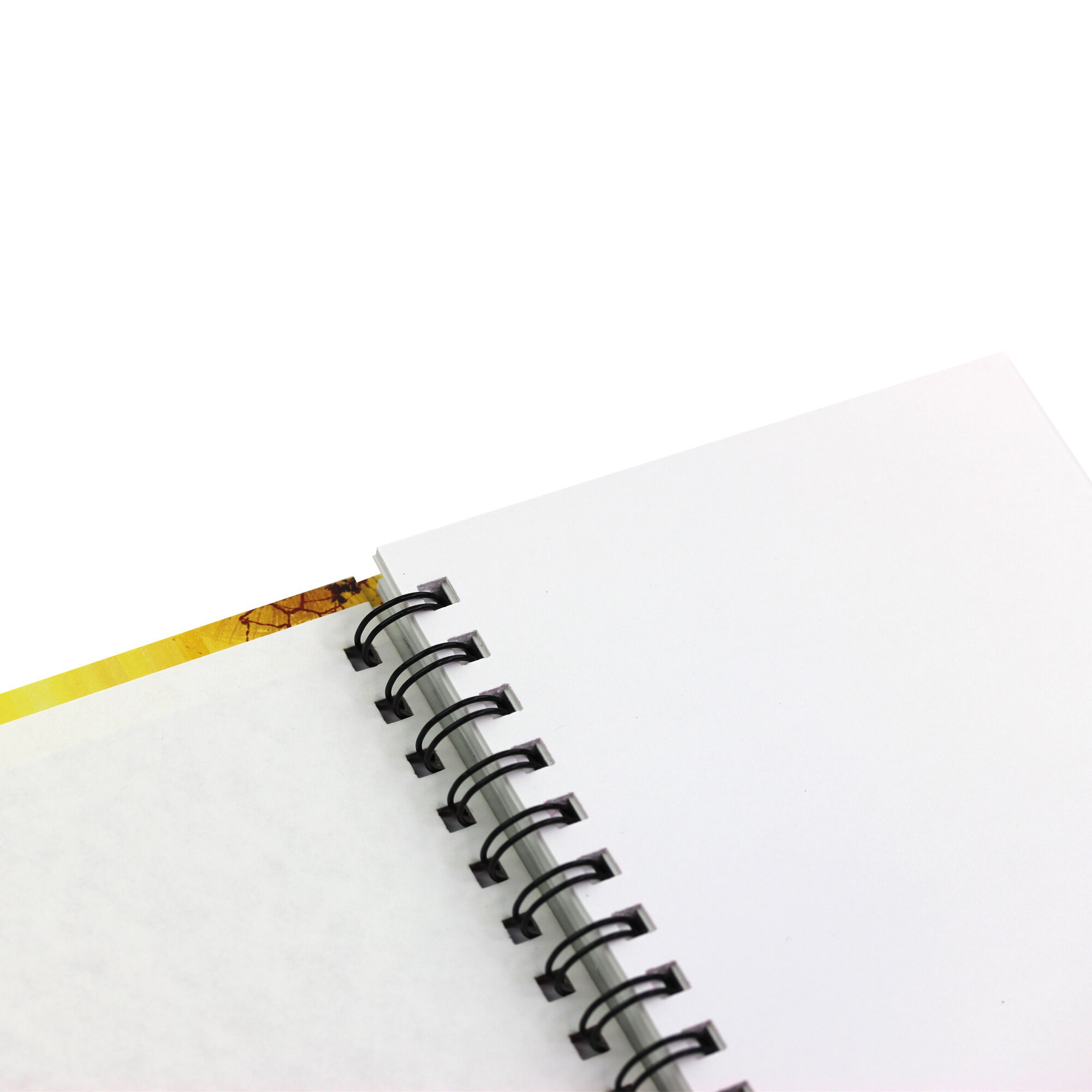 SKETCHBOOK. Осень – ТС51005064 SKETCHBOOK. Осень – ТС51005064