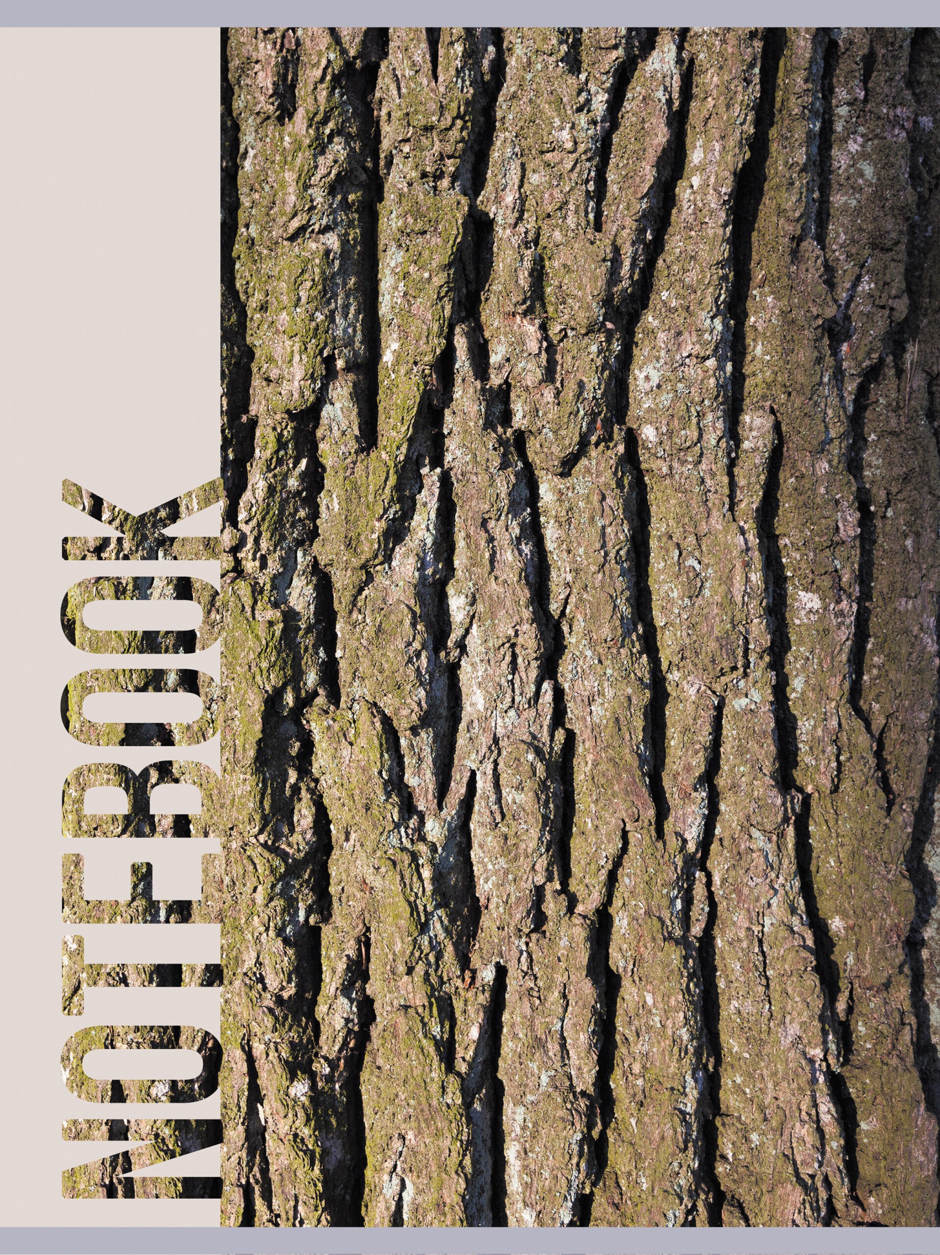 Wood texture – Т4804977 Wood texture – Т4804977