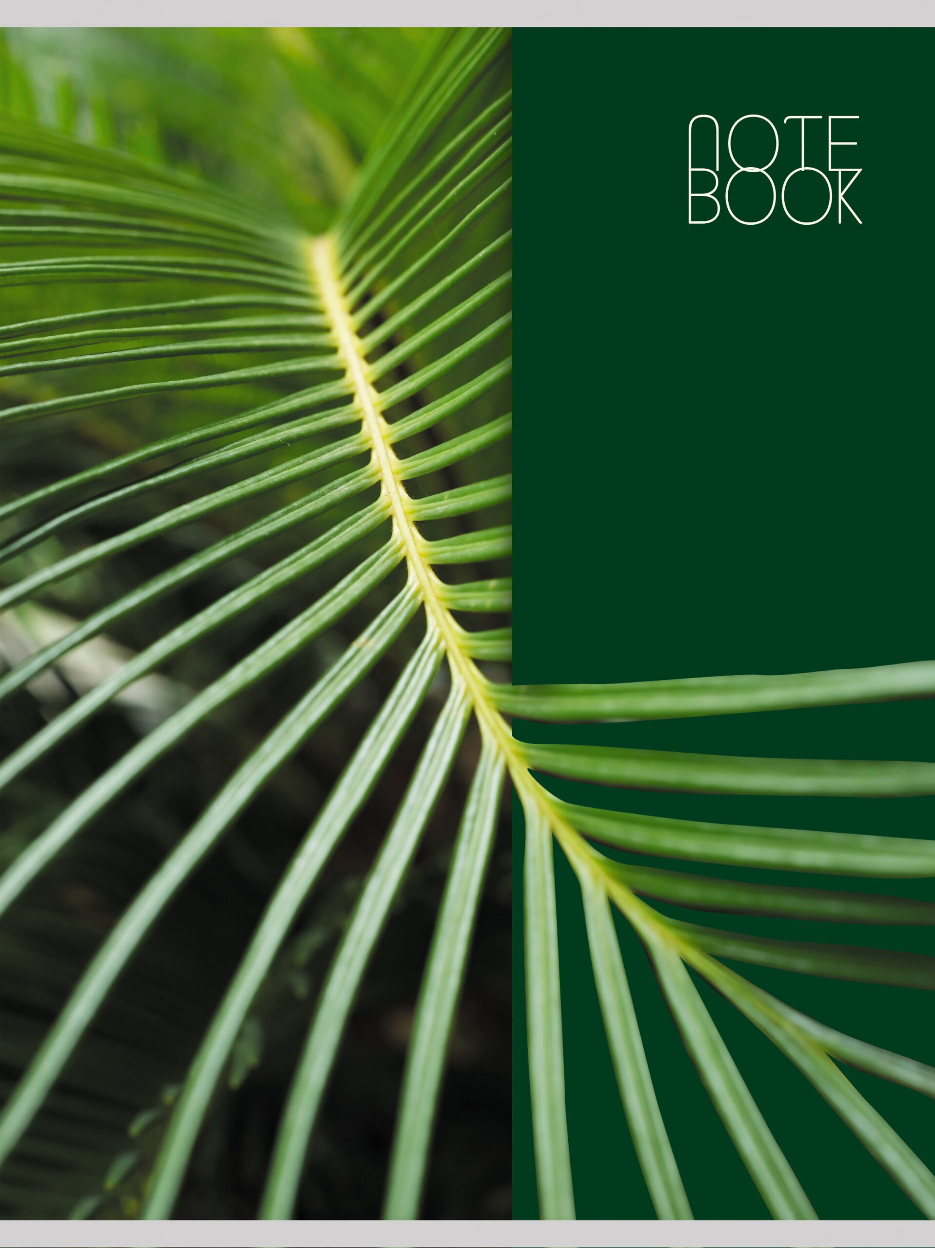 Сочный лист – Т4604991 Сочный лист – Т4604991