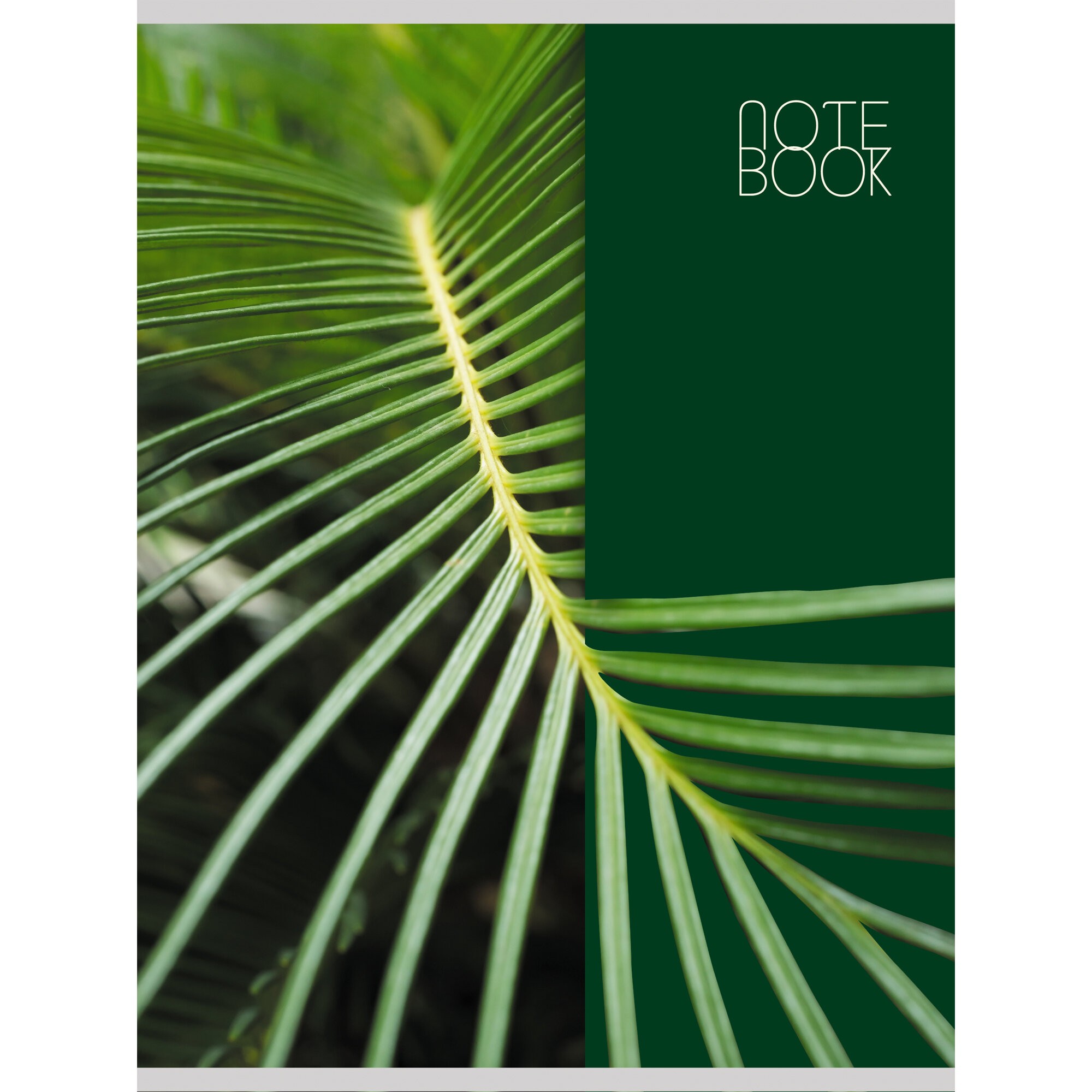 Сочный лист – Т4604991 Сочный лист – Т4604991