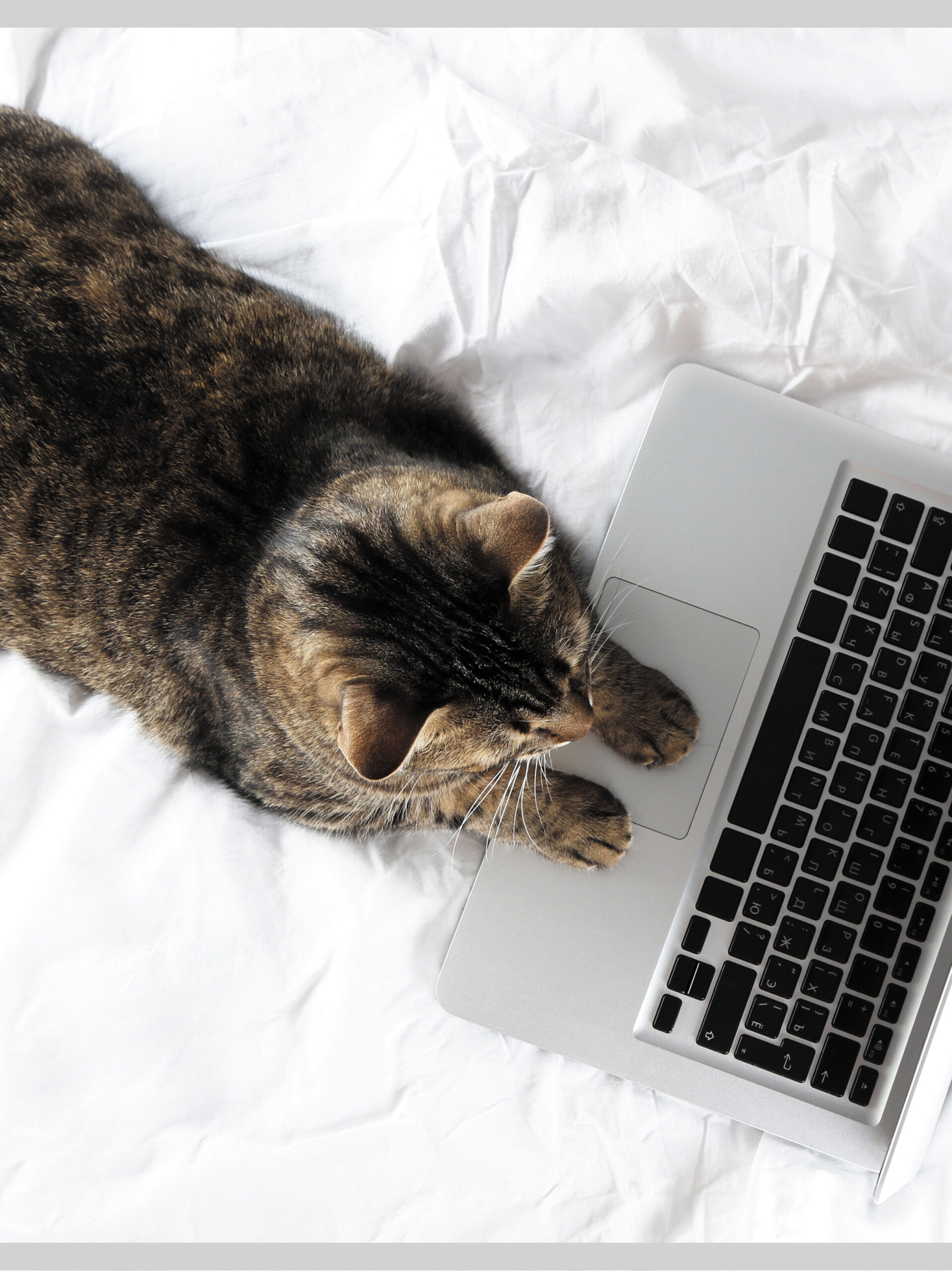 Домашний офис – Т4604993 Домашний офис – Т4604993