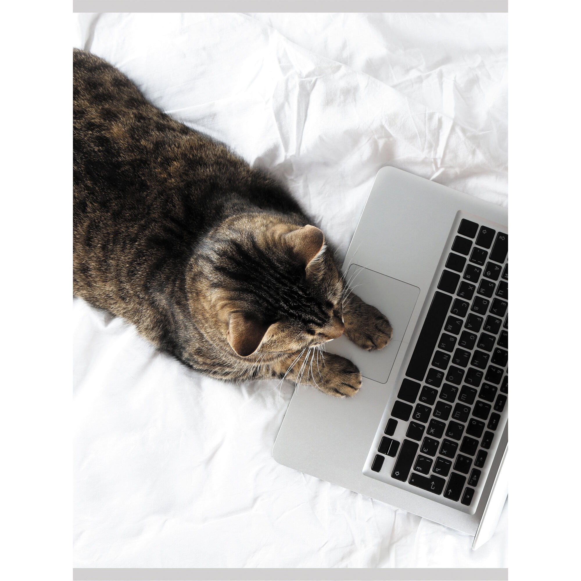 Домашний офис – Т4604993 Домашний офис – Т4604993