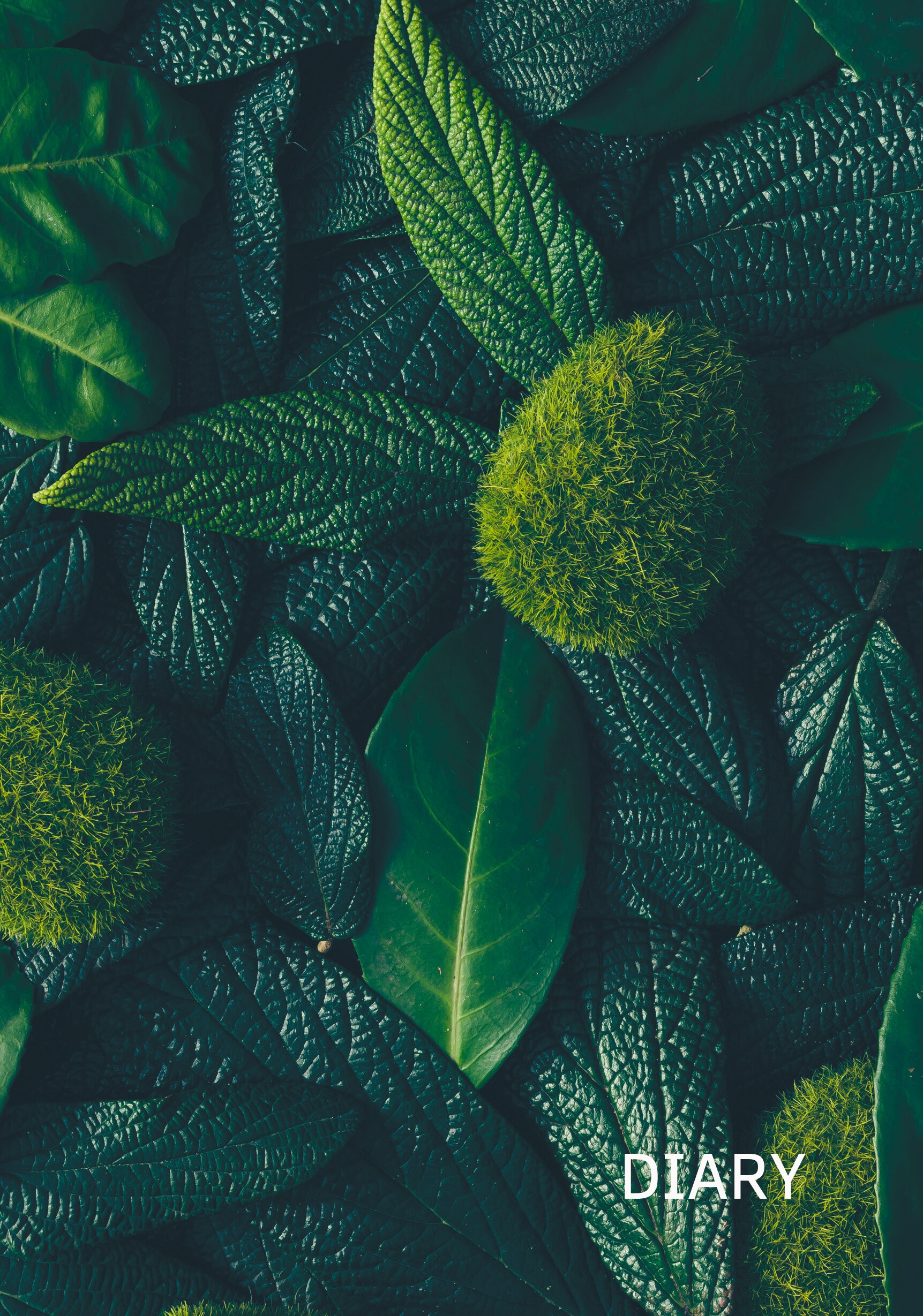 In green – ЕЖ23519208 In green – ЕЖ23519208