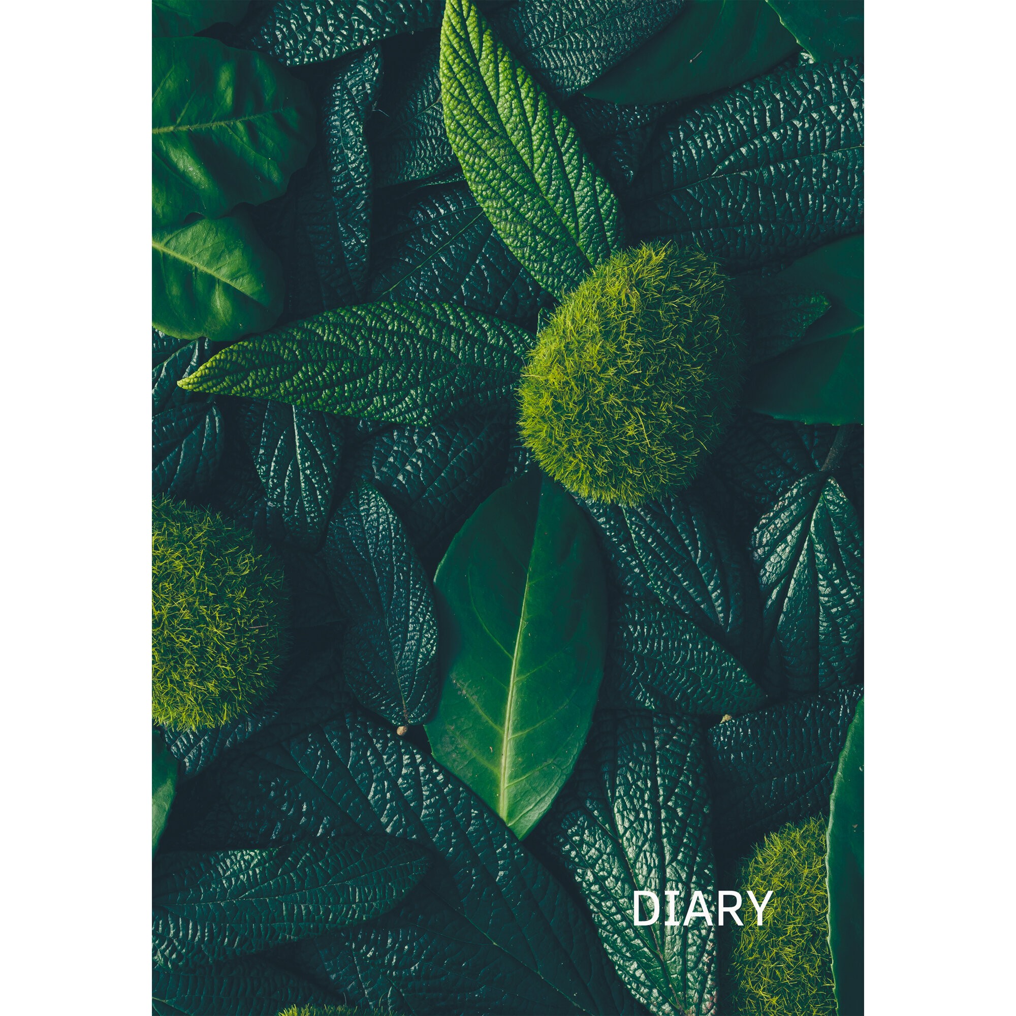 In green – ЕЖ23519208 In green – ЕЖ23519208