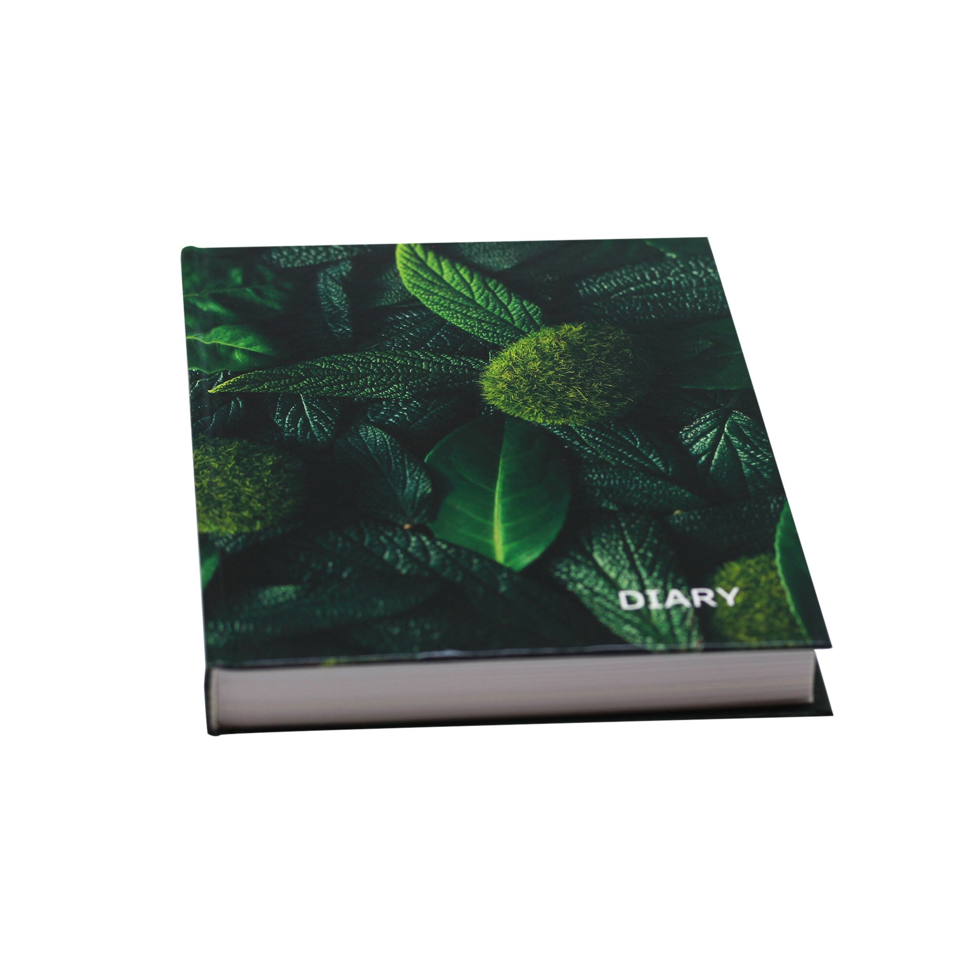 In green – ЕЖ23519208 In green – ЕЖ23519208