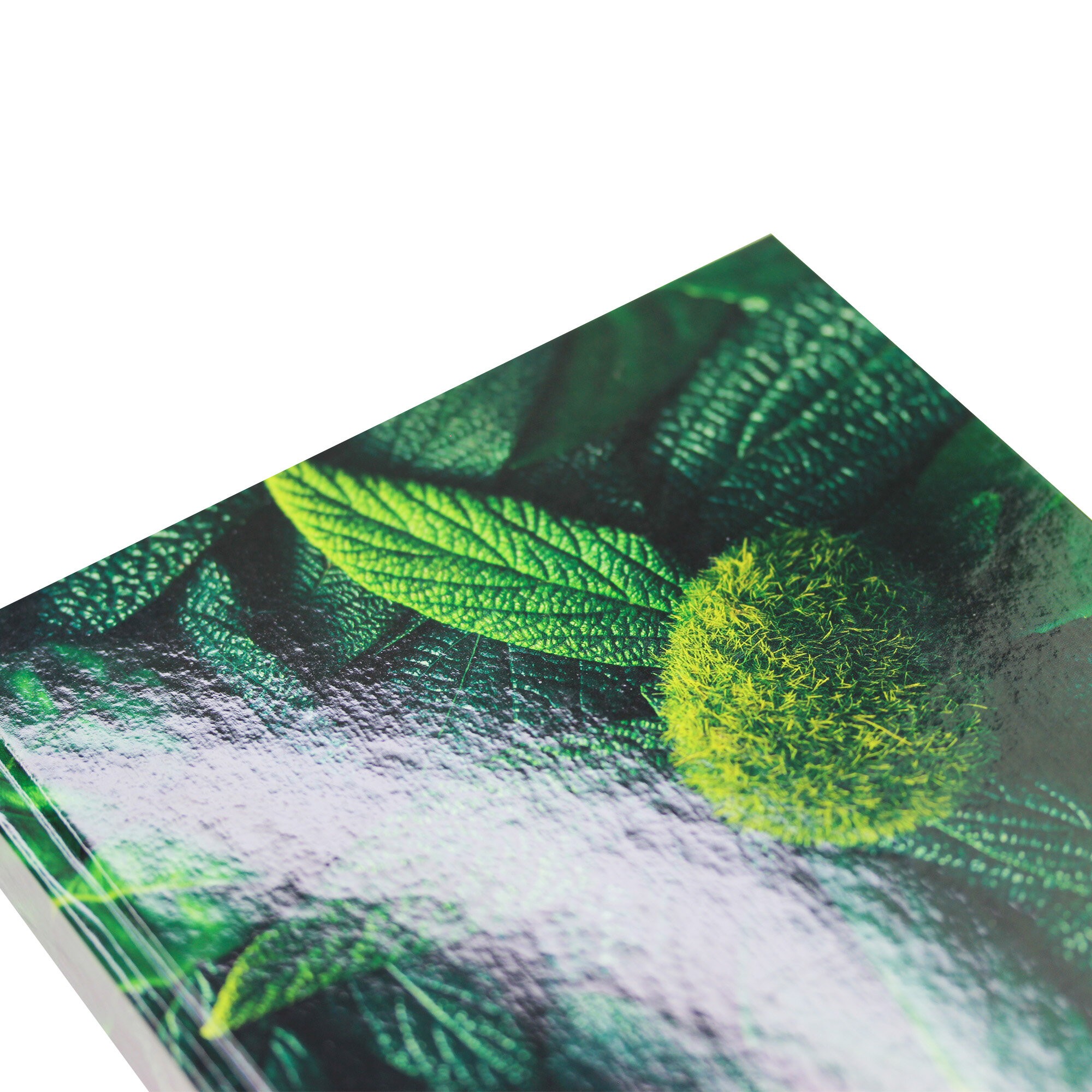 In green – ЕЖ23519208 In green – ЕЖ23519208