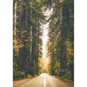 Главная страница